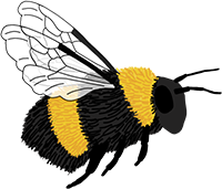 Close-up of a bumblebee with black and yellow markings on its body, wings, and antennae.