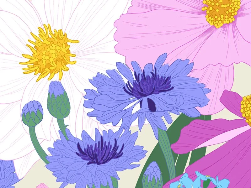 Digital illustration of various colorful flowers, including purple anemones, pink poppies, and white cosmos, with some blooms and buds.