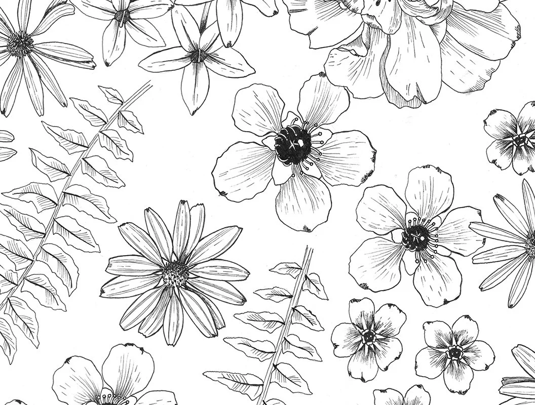 Black and white line drawing of various flowers and fern leaves.