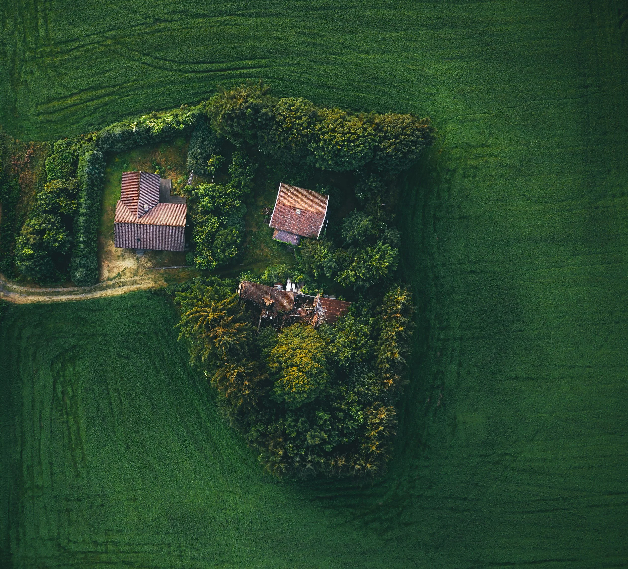 2019-07-10-randaberg.jpg