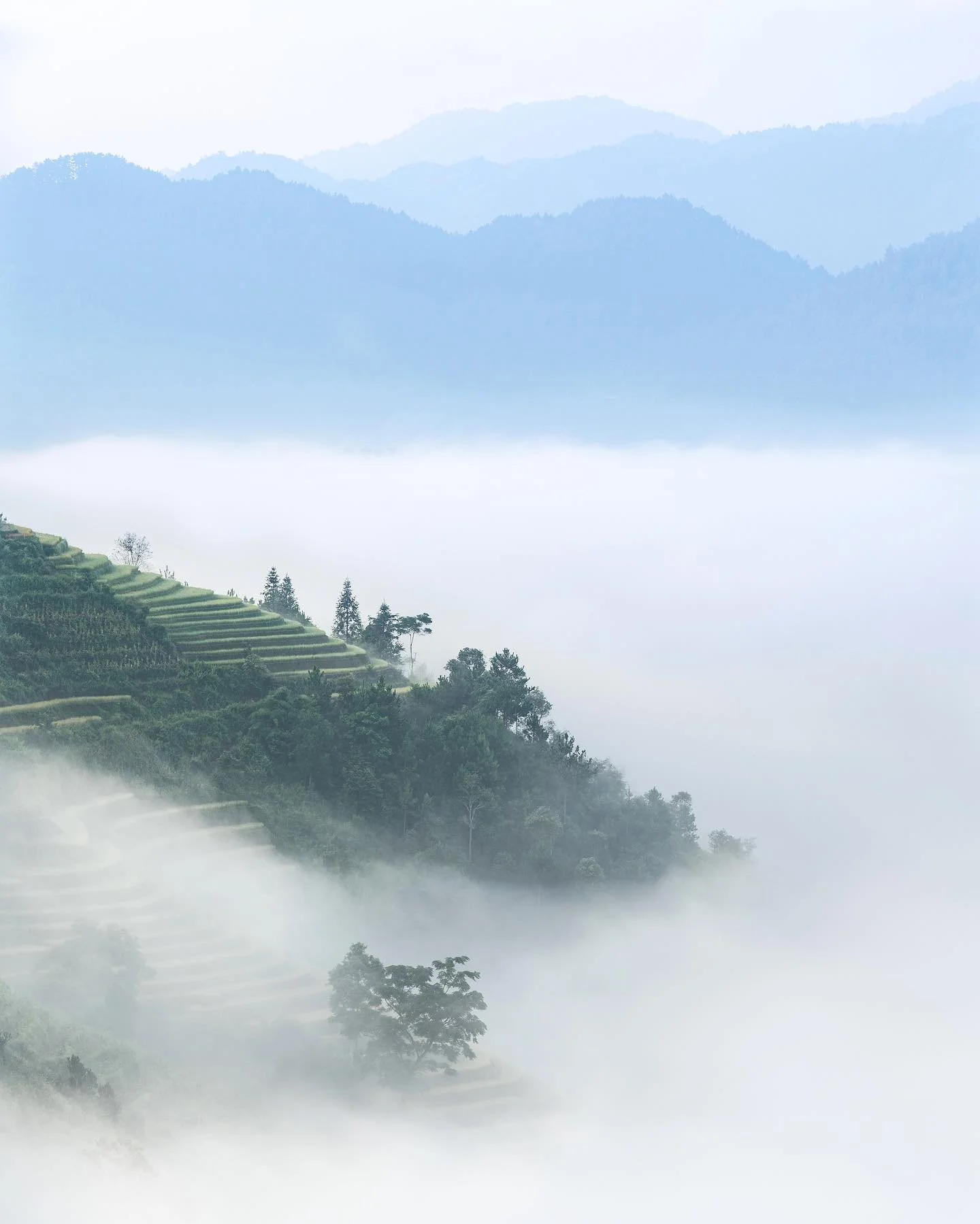 ☁️ Yen Bai 2022 

&bull;
&bull;
&bull;
&bull;
&bull;

#asia #rice #sonyalpha #viewpoint #morning #fog #scenery #travel #vietnam #riceterrace #mountains #pattern #agriculture #green #blue #natgeoyourshot #photography #earthoutdoors  #trees