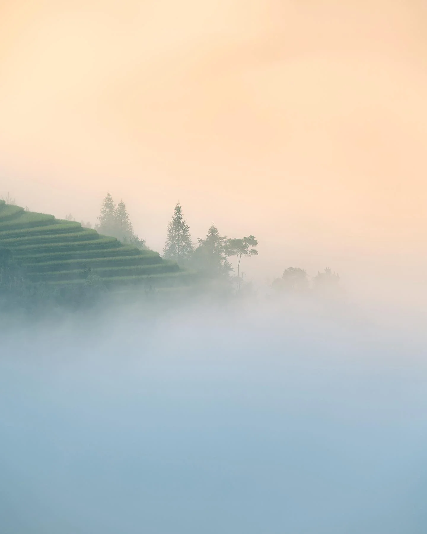 ☁️ Sept 2022 

&bull;
&bull;
&bull;
&bull;
&bull;

#asia #rice #sonyalpha #viewpoint #morning #sunrise #scenery #tranquil #travel #vietnam #riceterrace #mountains #pattern #agriculture #green #natgeoyourshot #photography #earthoutdoors  #field #count