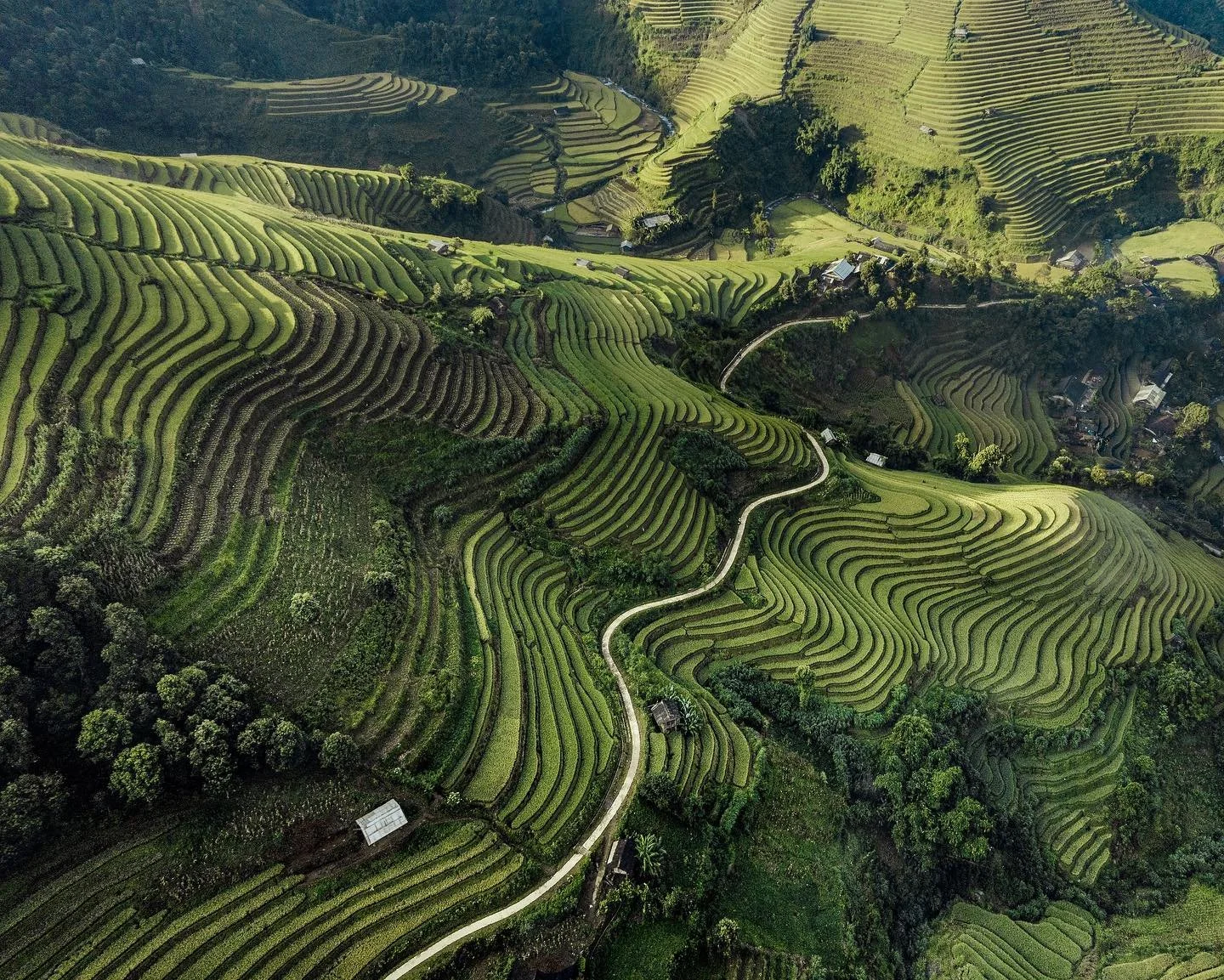 🟢 Sept, 2019 

&bull;
&bull;
&bull;
&bull;
&bull;

#asia #rice #sonyalpha #viewpoint #morning #sunrise #scenery #tranquil #travel #vietnam #riceterrace #mountains #pattern #agriculture #green #natgeoyourshot #photography #earthoutdoors  #field #coun