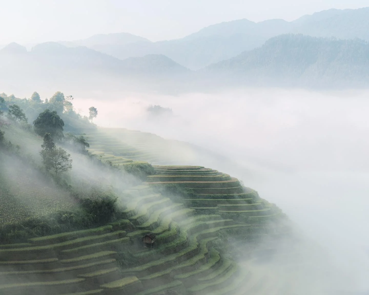 ⛅️ Sept, 2019 

&bull;
&bull;
&bull;
&bull;
&bull;

#asia #rice #sonyalpha #viewpoint #morning #sunrise #scenery #tranquil #travel #vietnam #riceterrace #fog #mist #agriculture #green #natgeoyourshot #photography #earthoutdoors  #field #countryside #