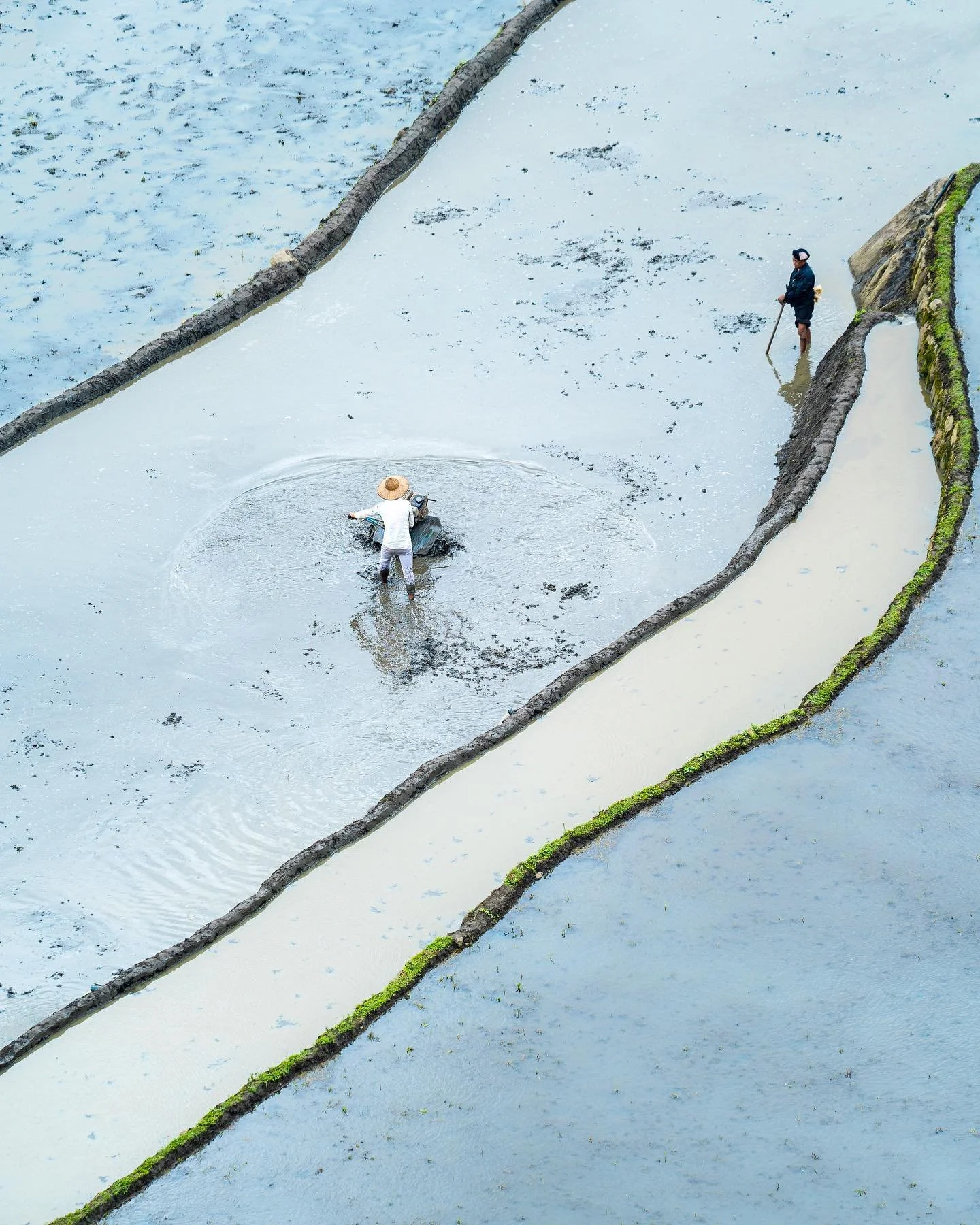 🌱💧Spring 

&bull;
&bull;
&bull;
&bull;
&bull;

#asia #rice #sonyalpha #water #rain #scenery #tranquil #travel #vietnam #agriculture  #green #natgeoyourshot #photography #earthoutdoors  #field #countryside #blue