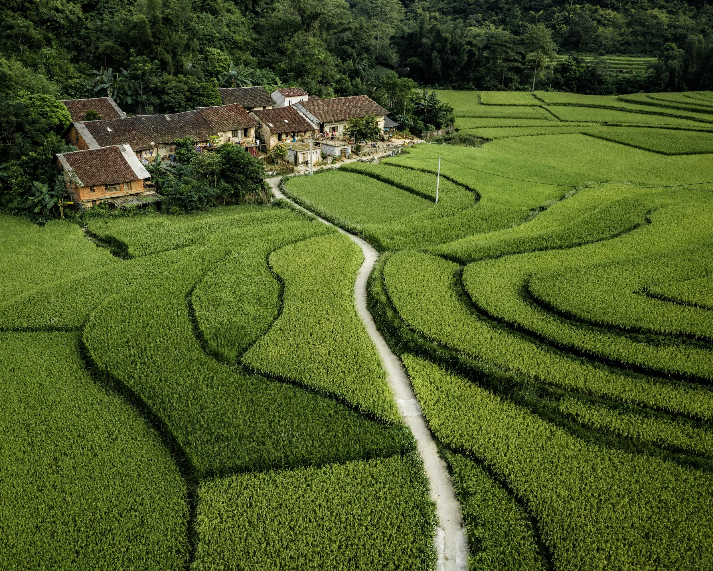 20190920-2019-09-20-ban.gioc-72-Edit.jpg
