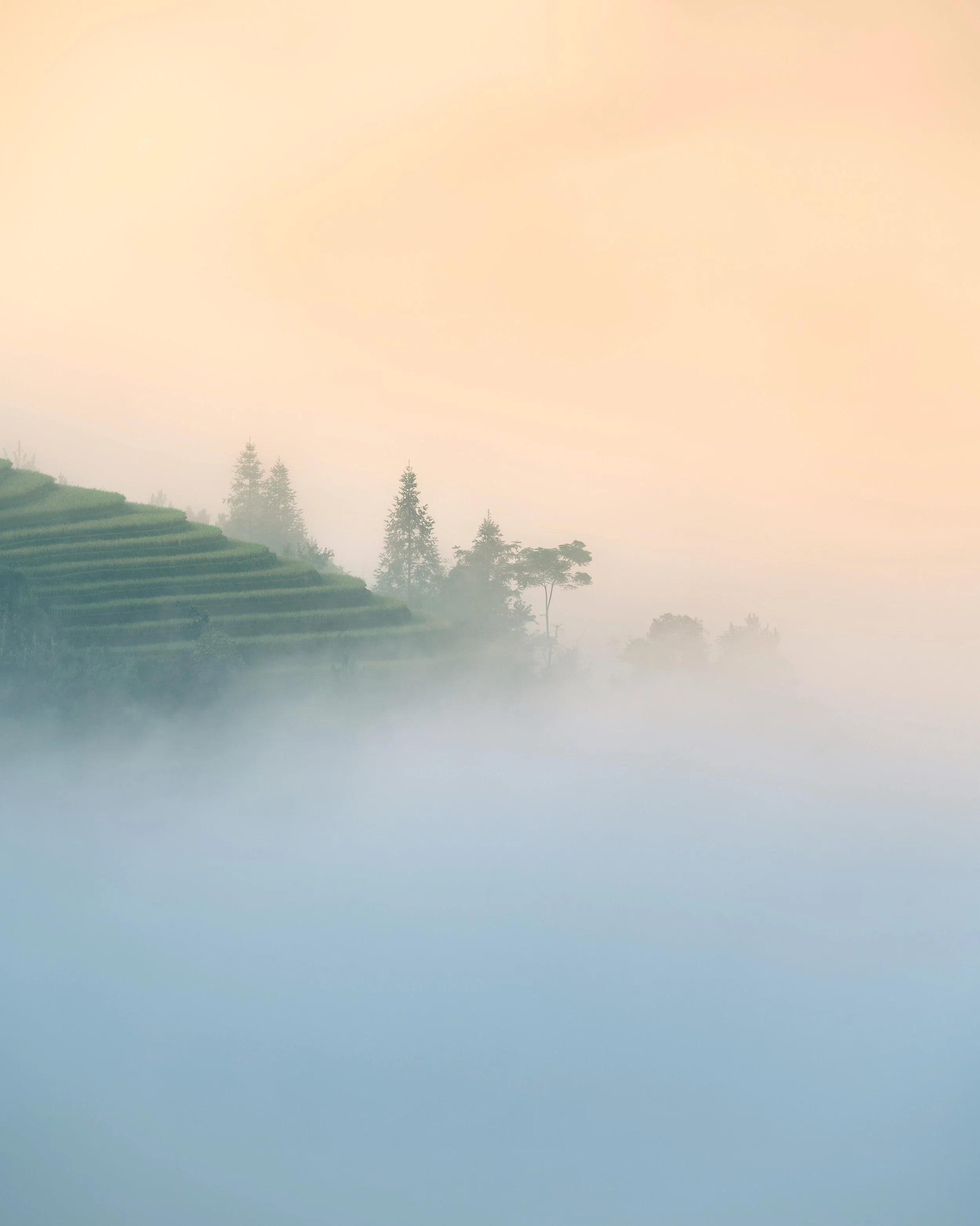 3D45F205-B843-4797-84CC-04C8A5D54FE9.JPG