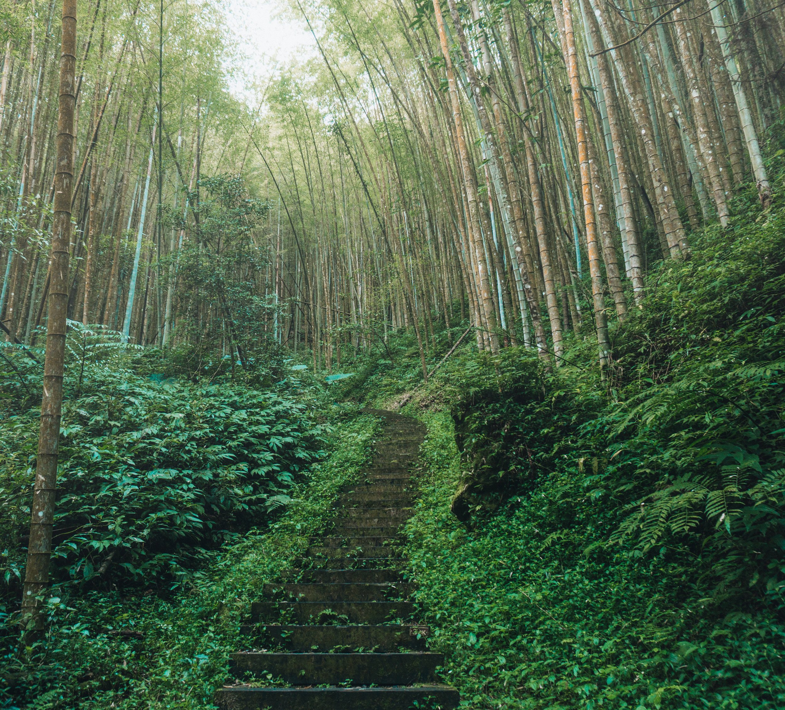 DSC08783.jpg