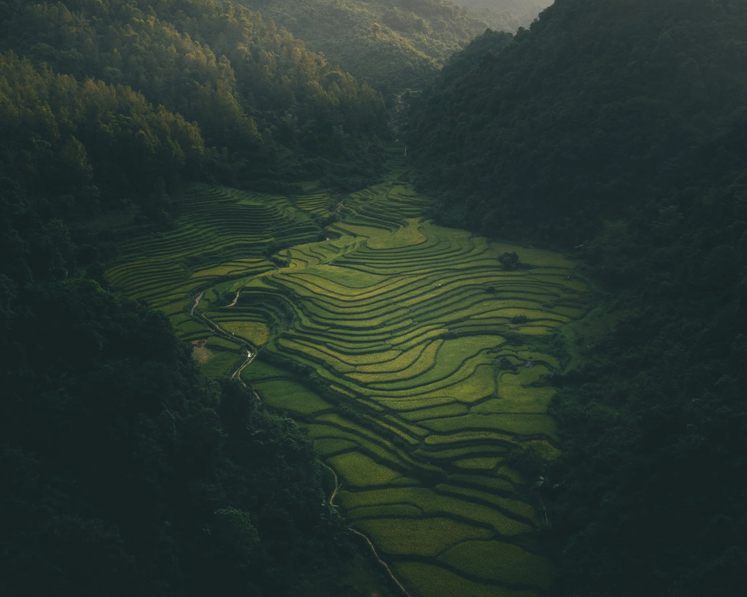 DJI_0494.jpg