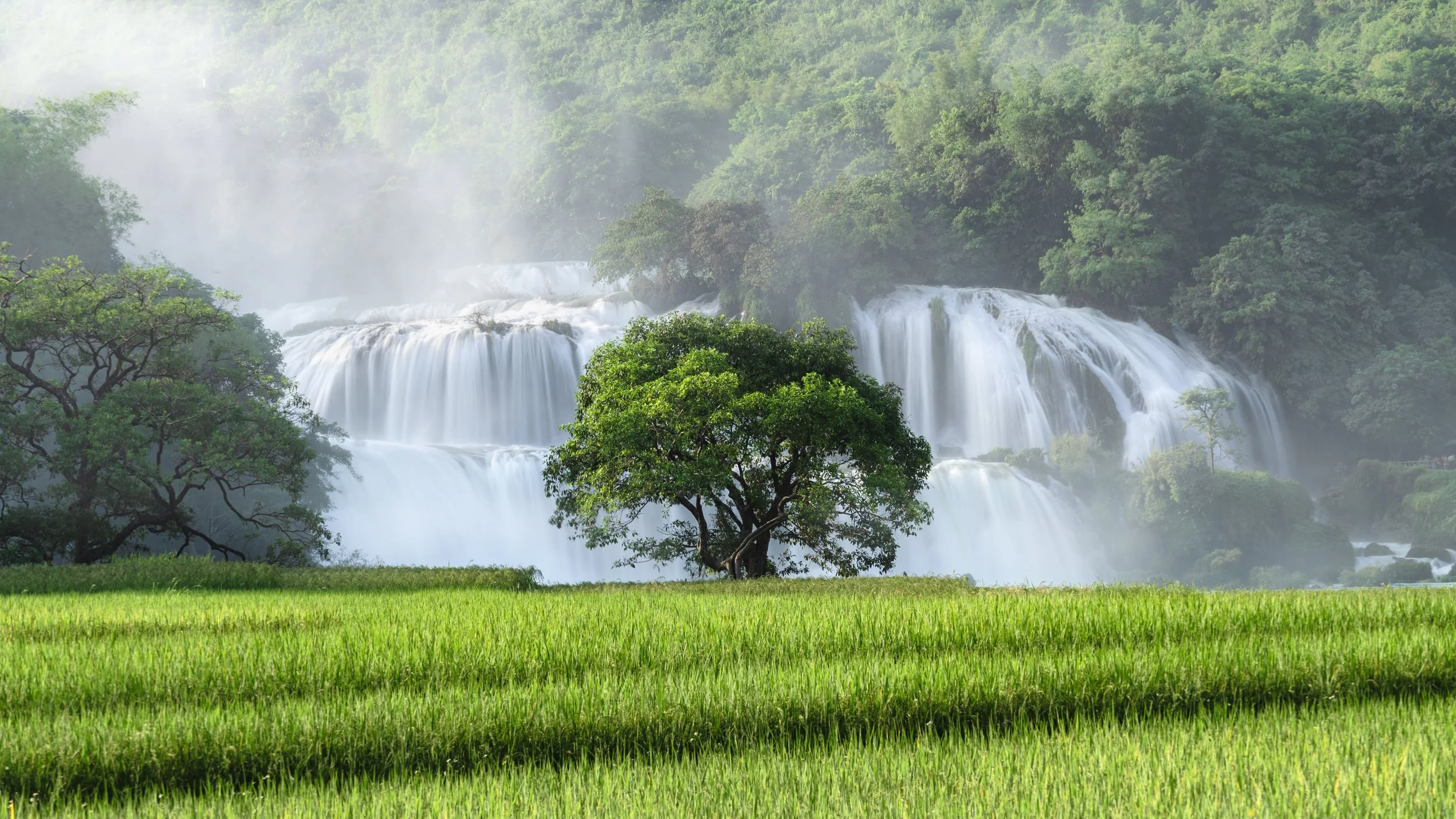 20190920-2019-09-20-ban.gioc-90.jpg