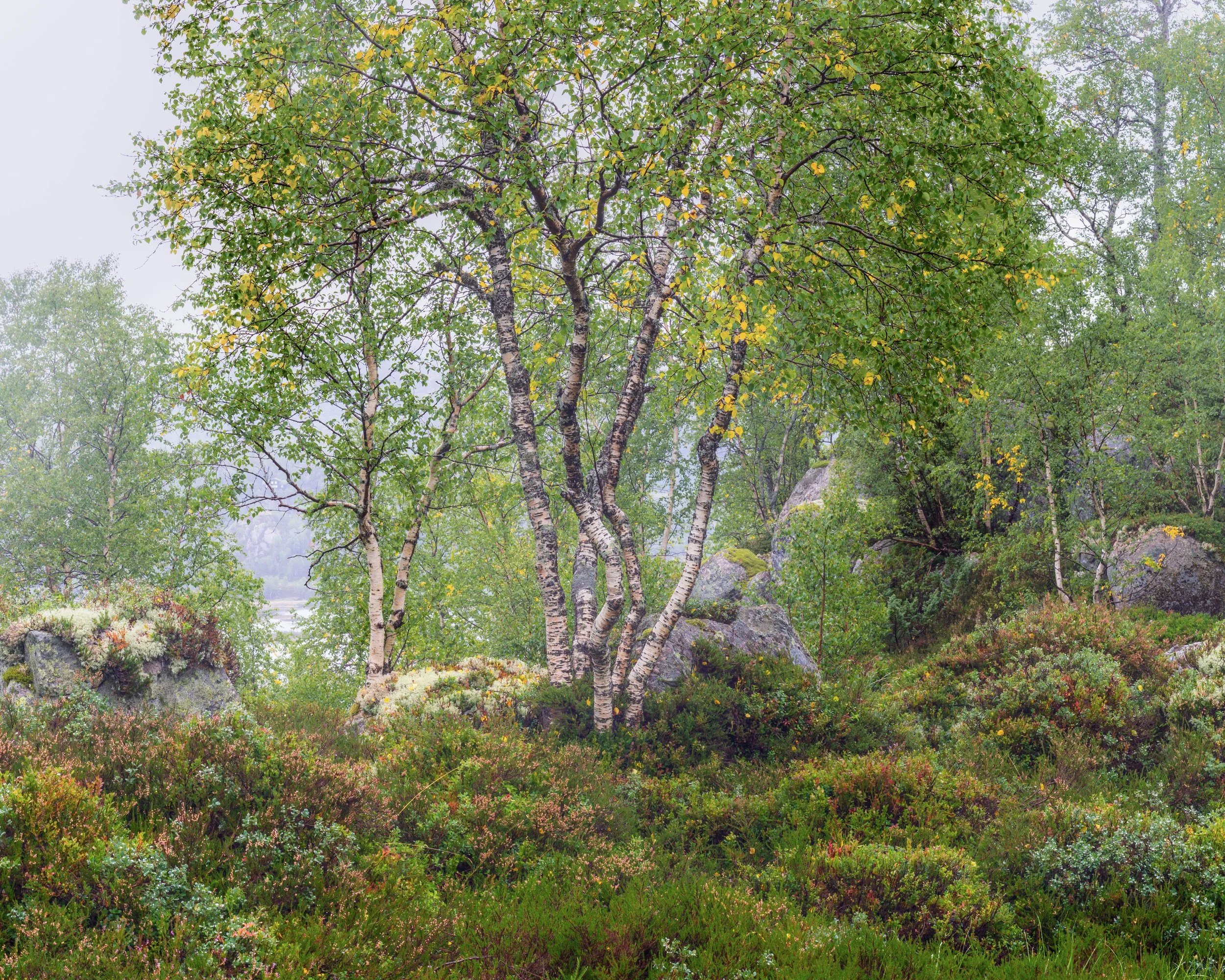 20180822-DSC07639-HDR-Pano.jpg