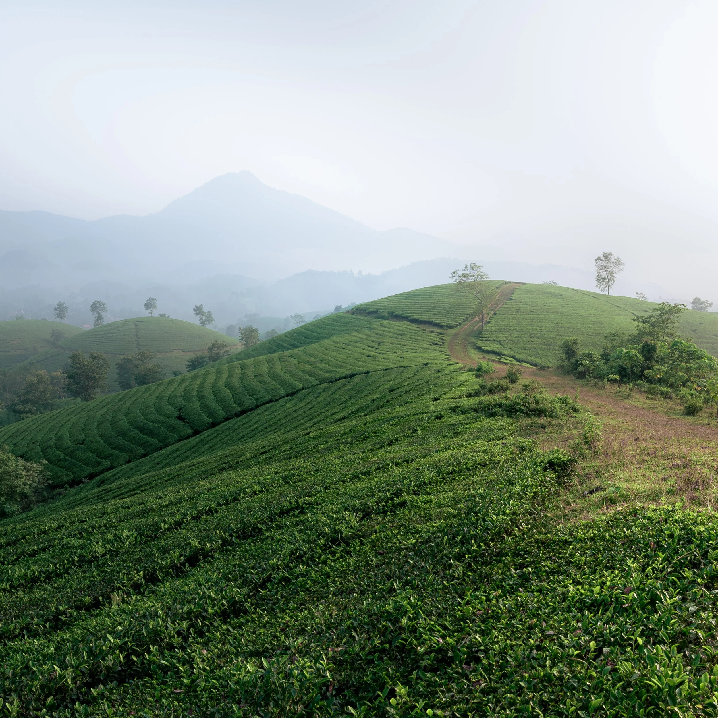 2019-10-01-long.coc-132-Pano.jpg