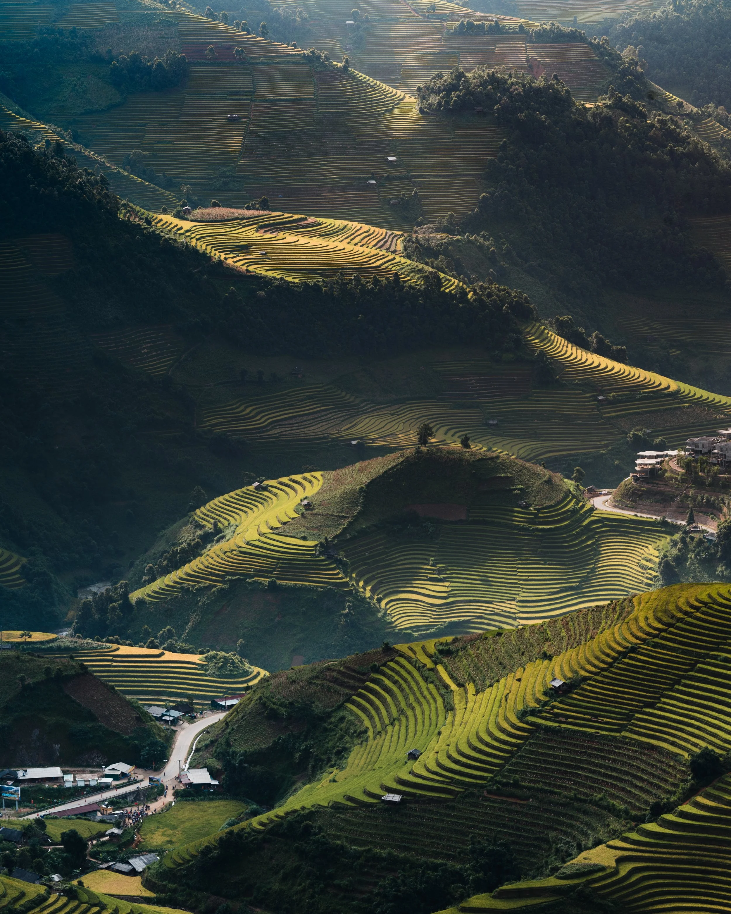 A7309209-Pano.jpg