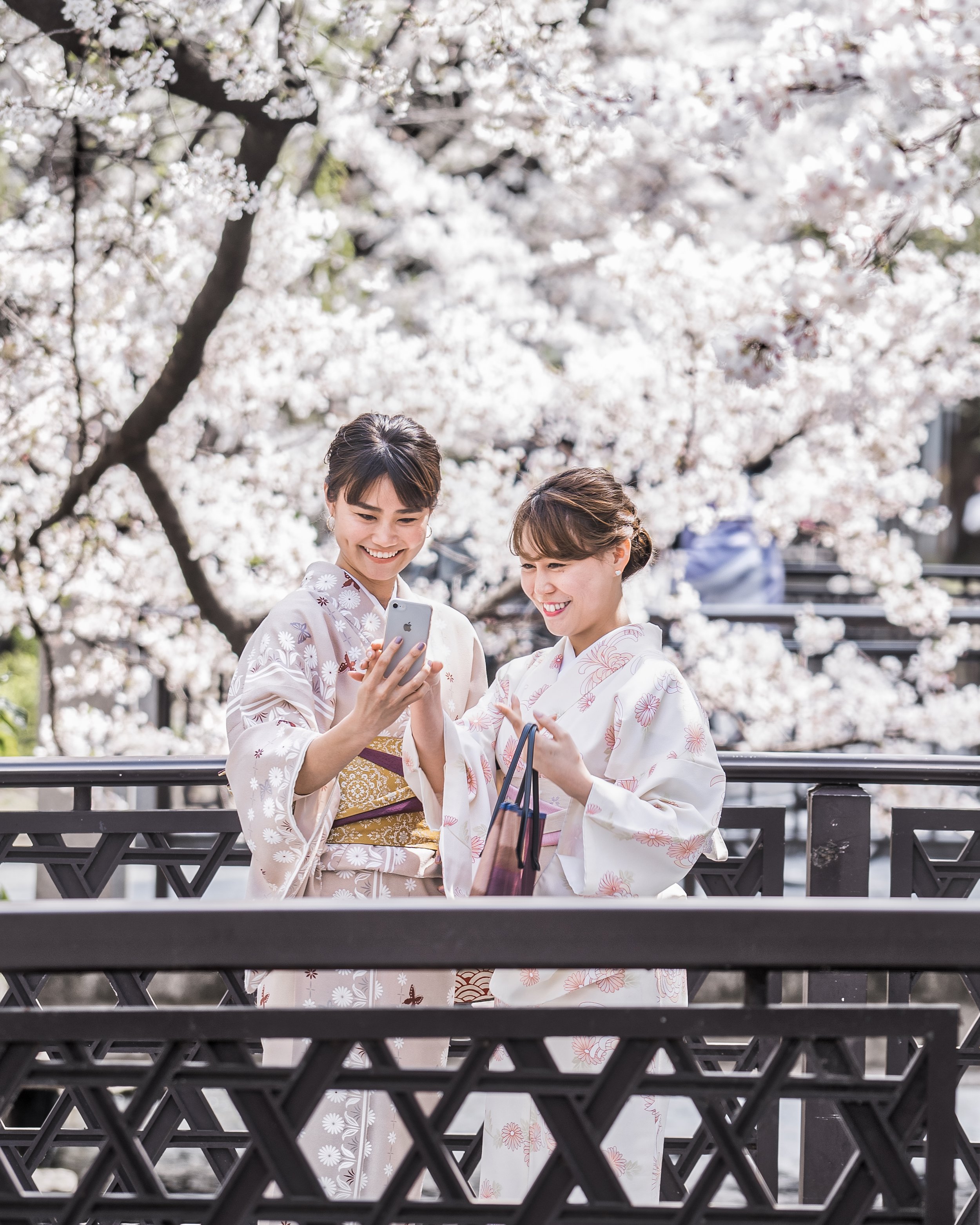 20190406-2019-04-06-kyoto.sakura-548-Edit-Edit 2.jpg