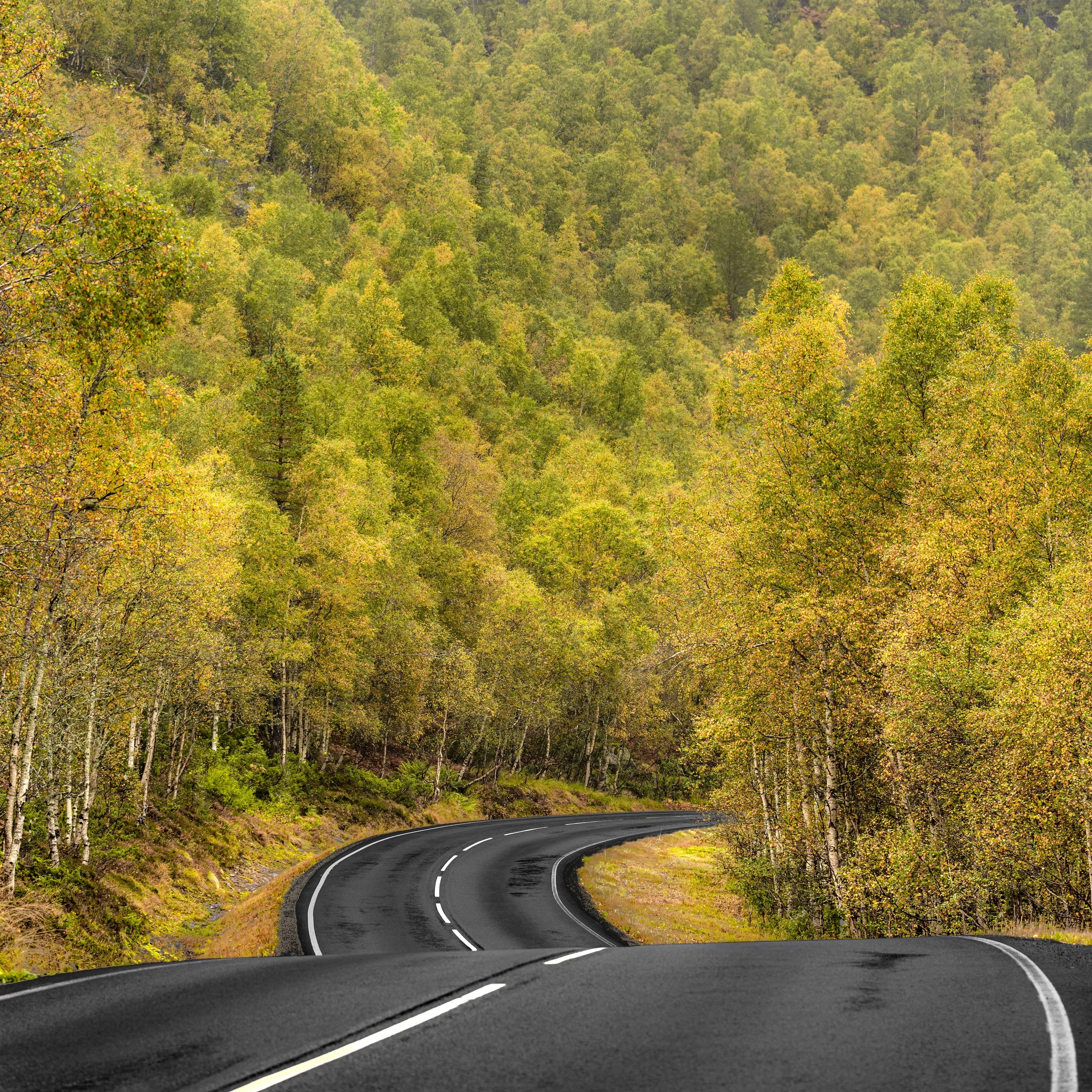 20200923-2020-09-23-sirdal.autumn-56-Edit-4.compressed.jpg