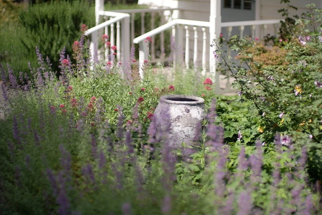 Cottage gardens 3.jpeg