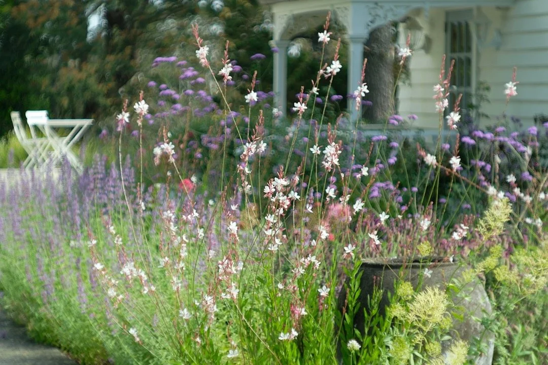 Cottage gardens 1.jpeg