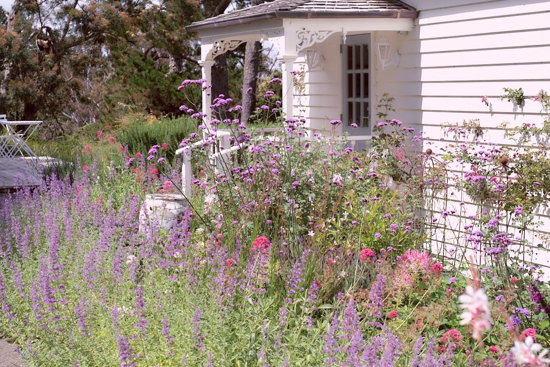 Cottage gardens 2.jpeg