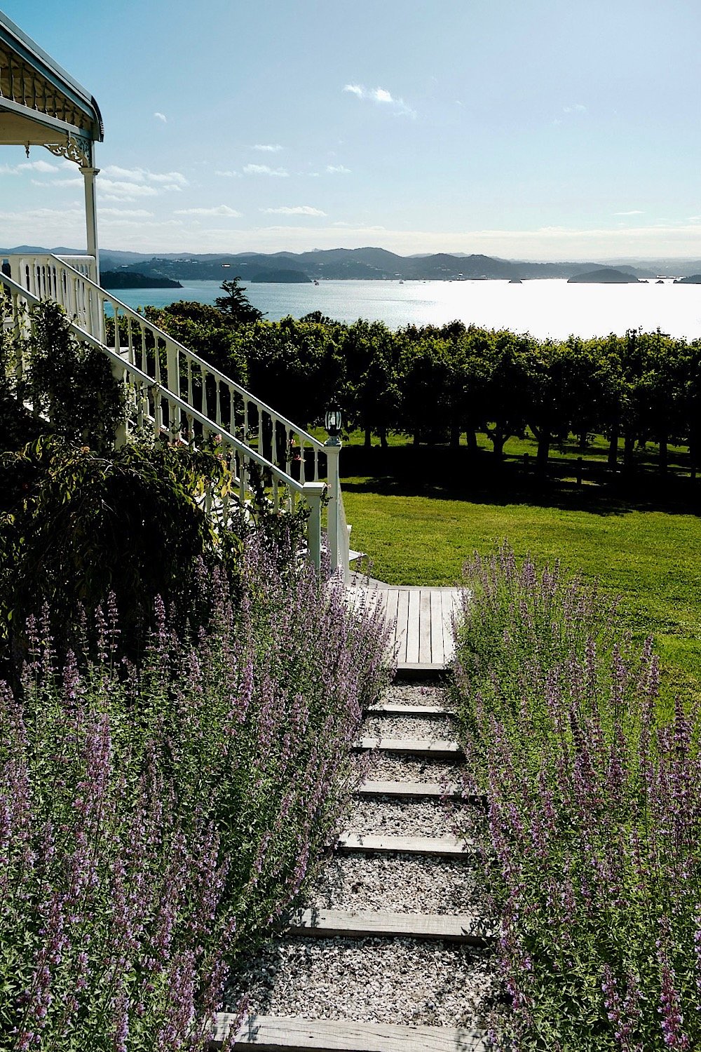 20 steps down to apartment.jpeg