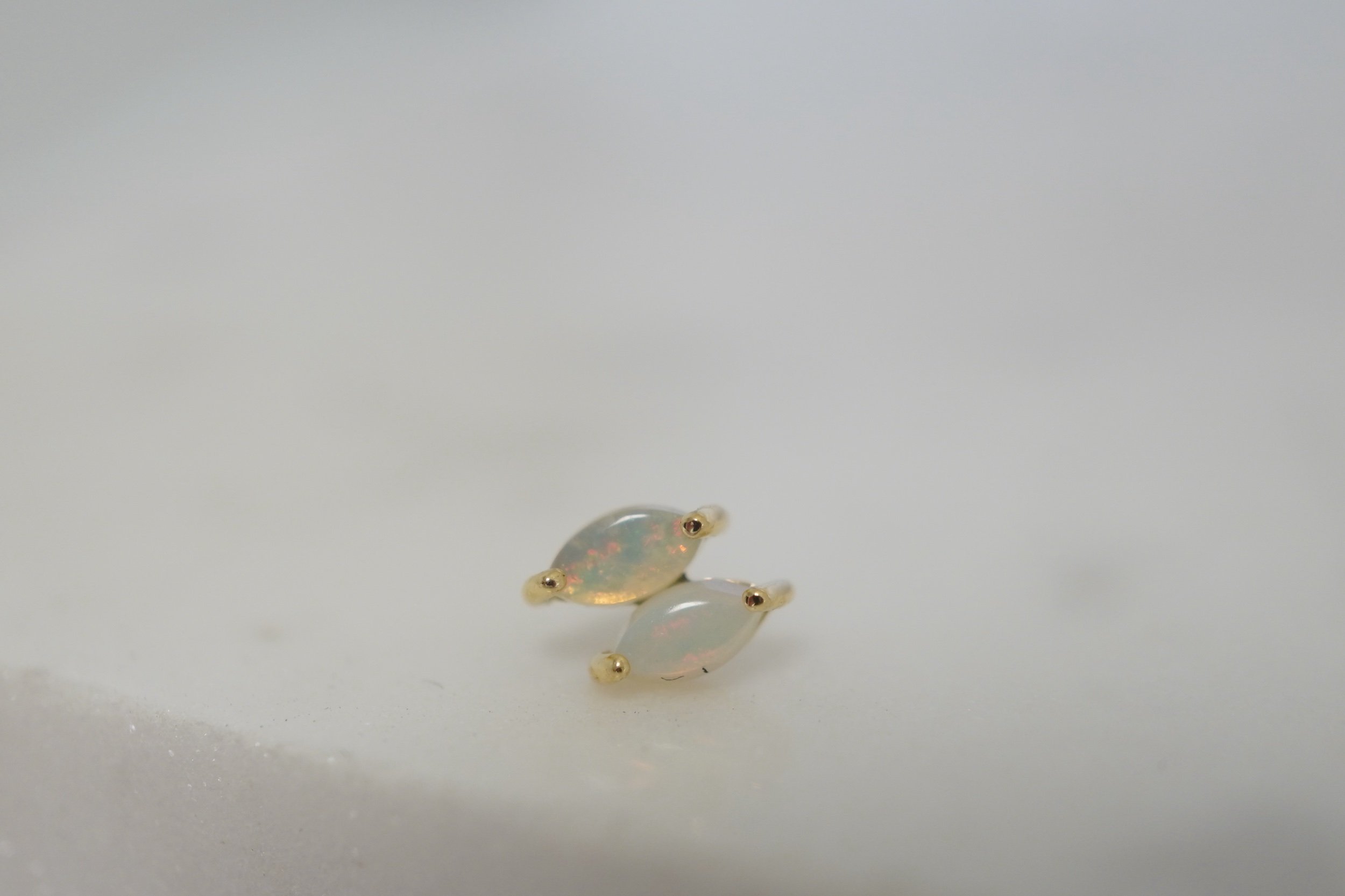 C56C5D56-5D5D-4B5A-8607-F9526814A576.jpeg