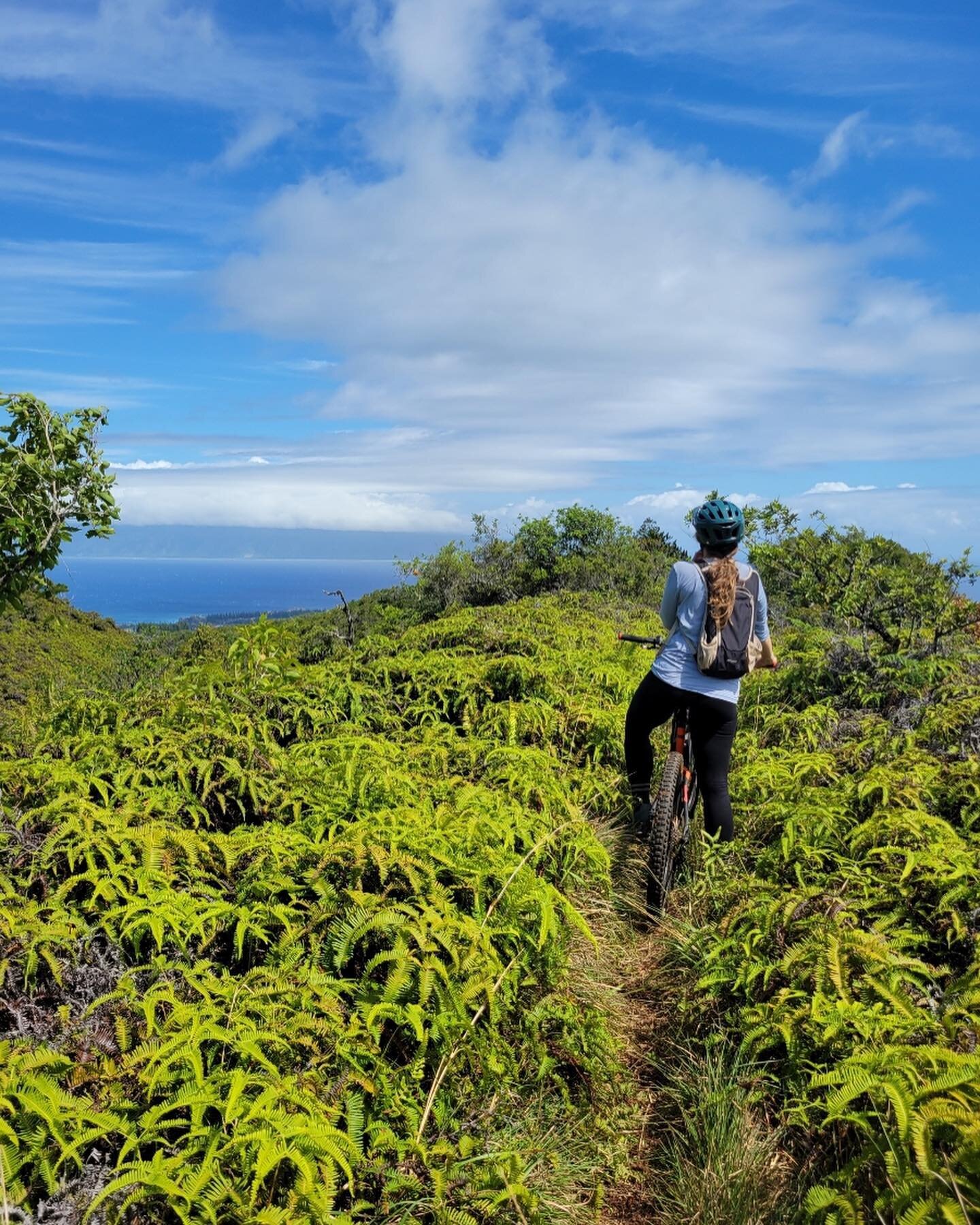 Happy #womensmtbday to all you rad Maui ladies! Excited to see the community continue to grow. Lot&rsquo;s of fun at our group rides this morning, thanks @baileyyousem for leading in Makawao and @gemmarosephoto for leading in Kapalua. 🤙 ⛰️