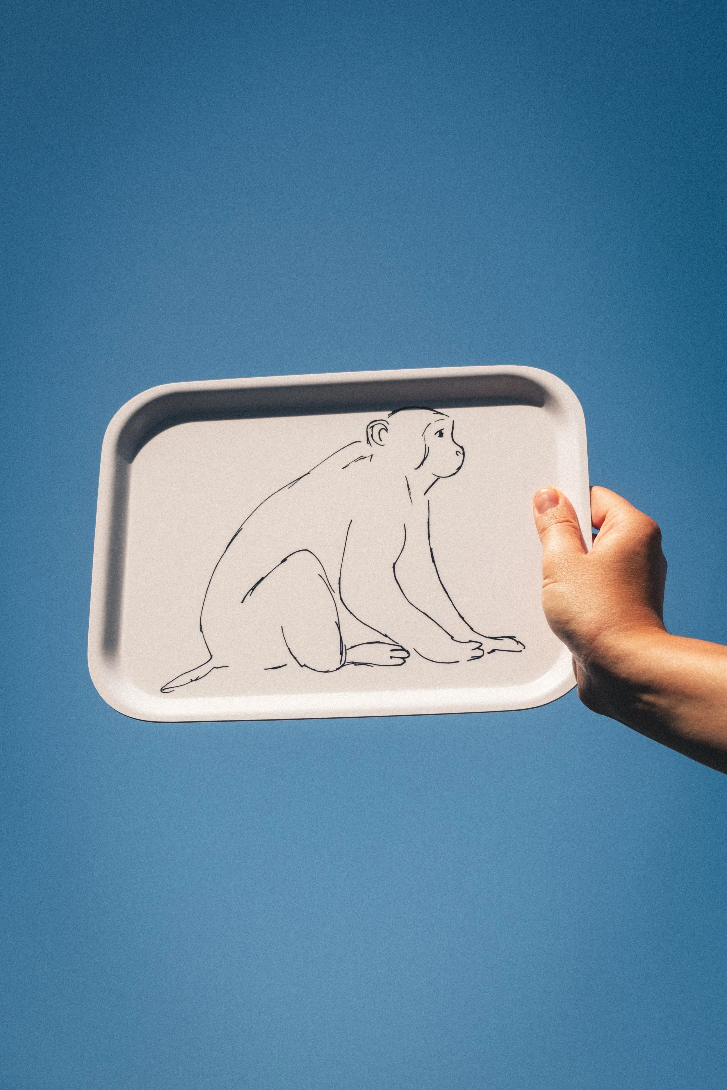 Tray Monkey