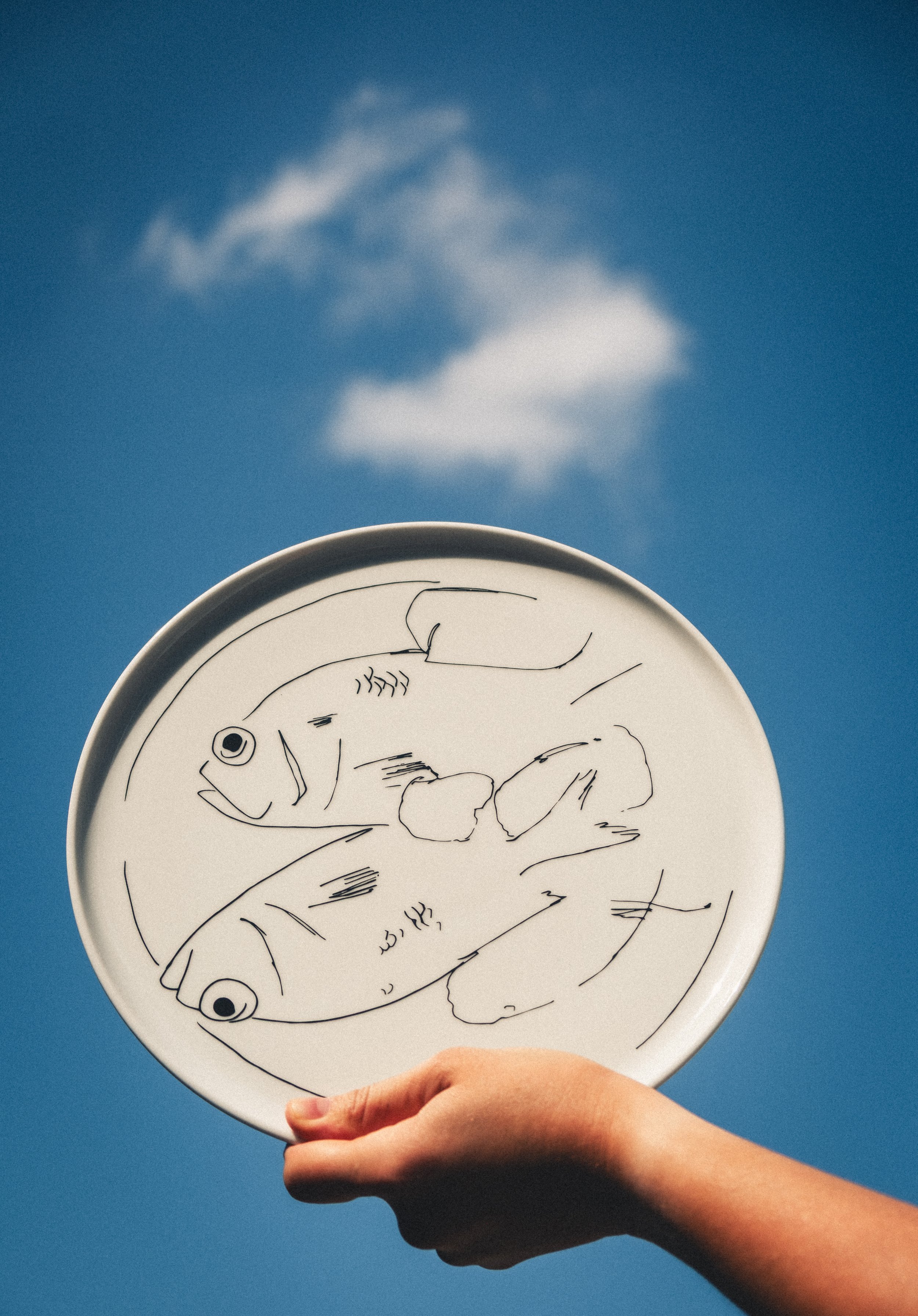 Fish Plate