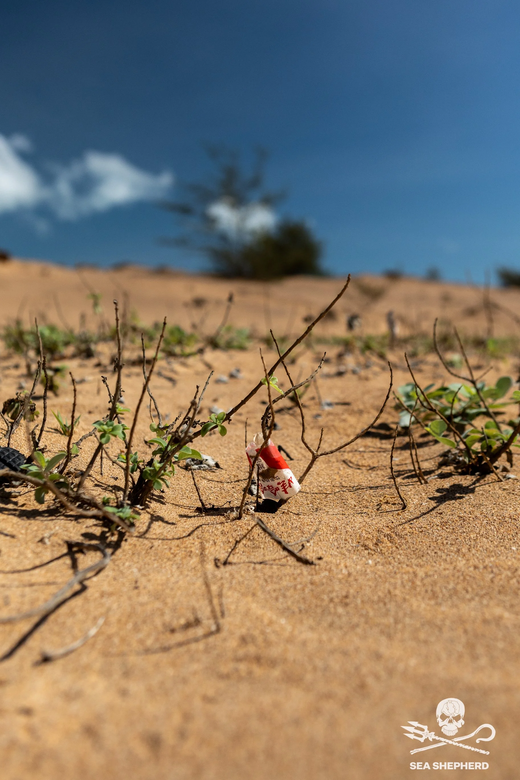 250910_MDC_HB_beach trash_IMG_4419.jpg