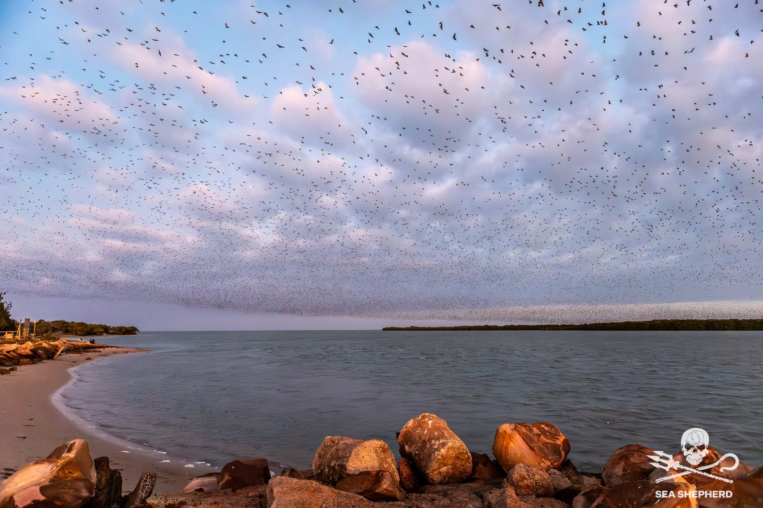 250908_MDC_HB_Watching bats at Numbulwar boat launchIMG_3637.jpg