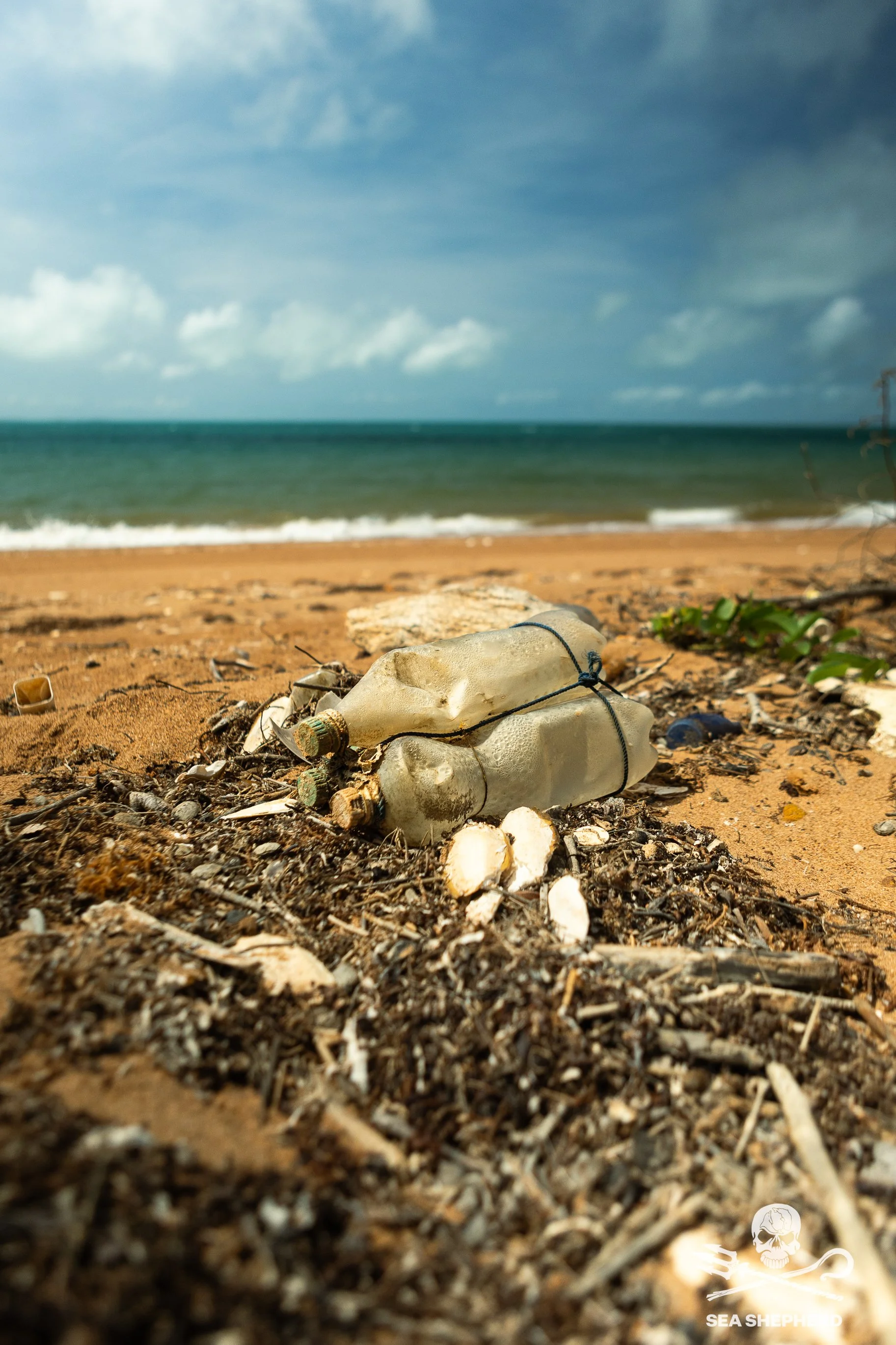 250911_MDC_HB_bottles made into a floatie_IMG_5707.jpg