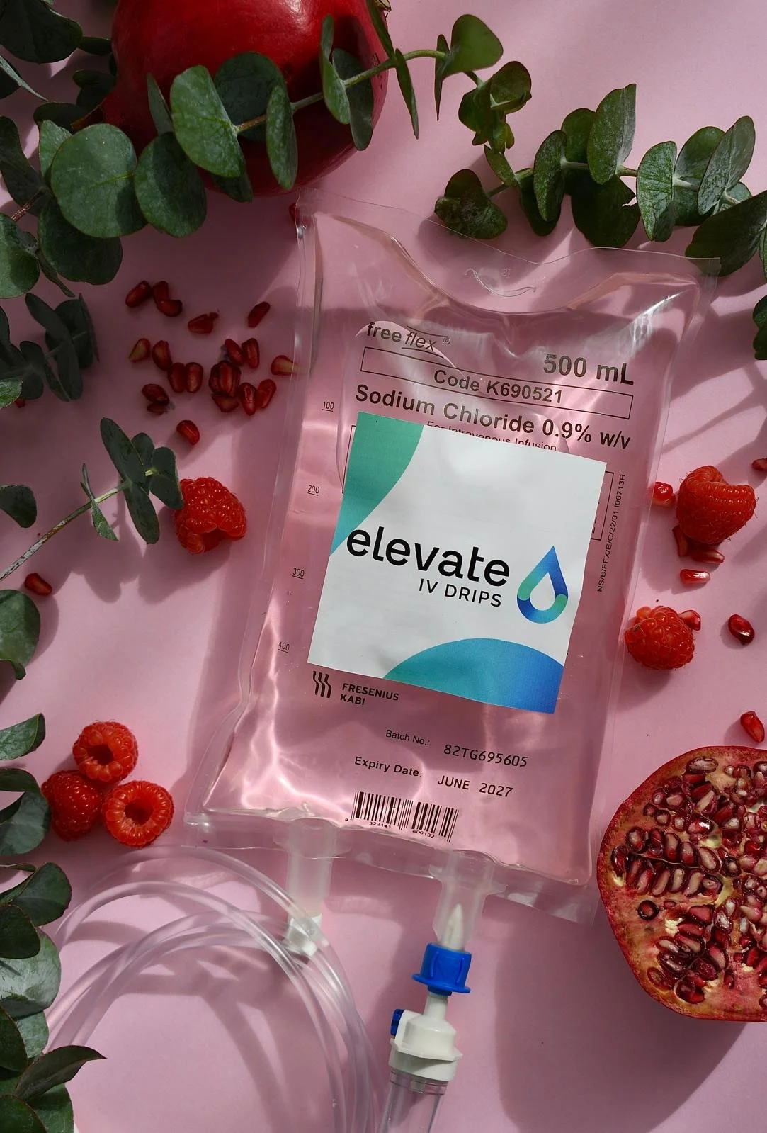 NAD+ and Assisted Reproduction: Interpreting Emerging Evidence in Egg Quality