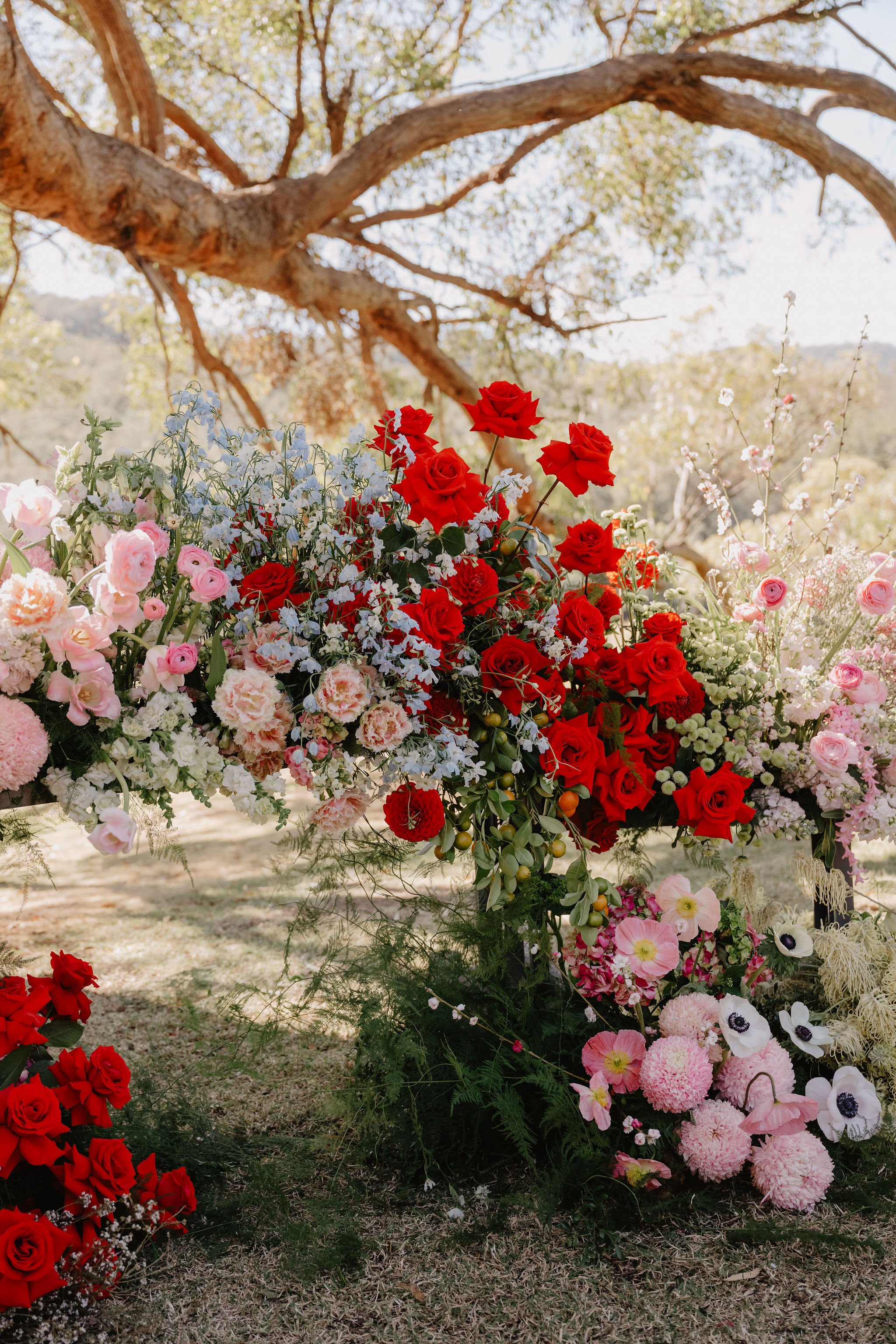 Maddi-Casey-Wedding-2025-Gold-Coast-Farm-House-Taylor-Kezia-Photography-SNEAK-PEEKS-22.jpg