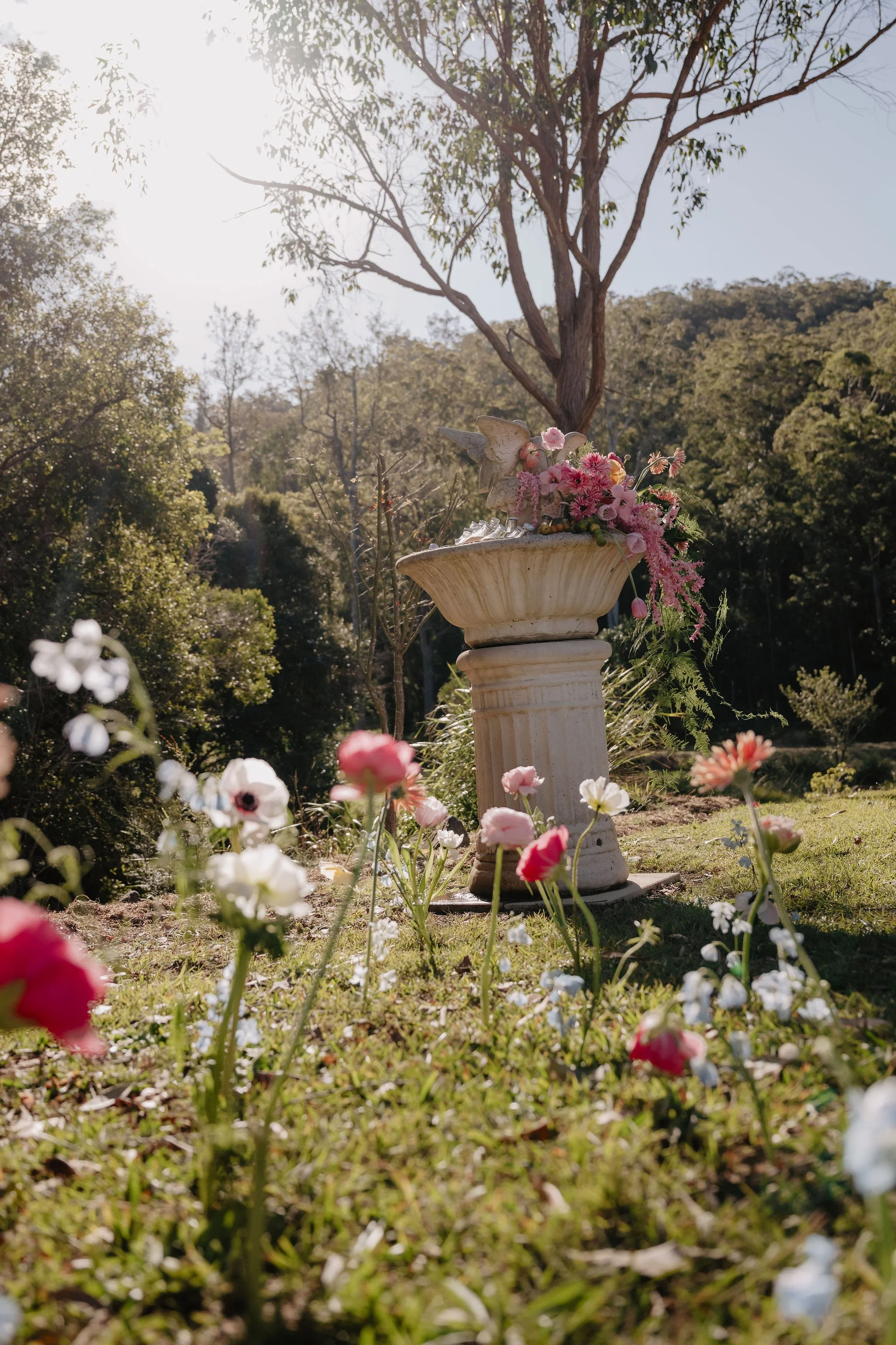 Maddi-Casey-Wedding-2025-Gold-Coast-Farm-House-Taylor-Kezia-Photography-SNEAK-PEEKS-41.jpg