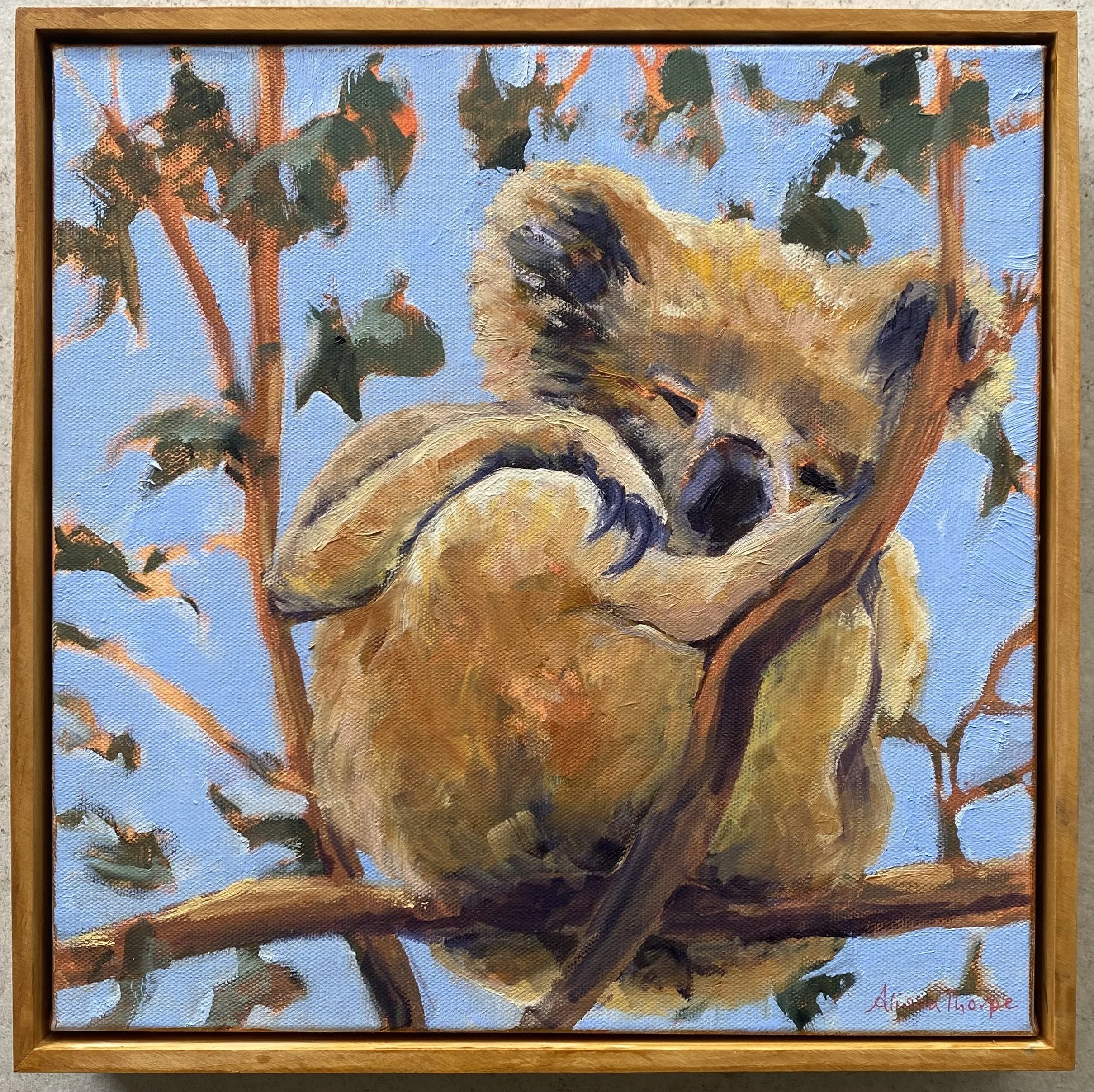 Koala dreams 30x30cm SOLD