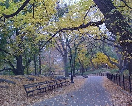 Taking stock of summer... preparing for fall