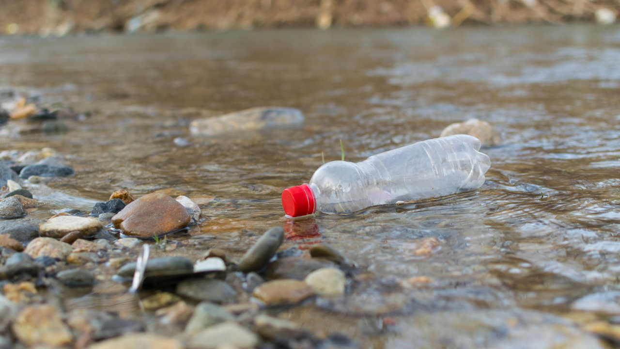 Worship service, One Bottle: on fate, destiny, and the threads that are ours to tend (on zoom and in-person at South Nassau ﻿Unitarian Universalist Congregation)