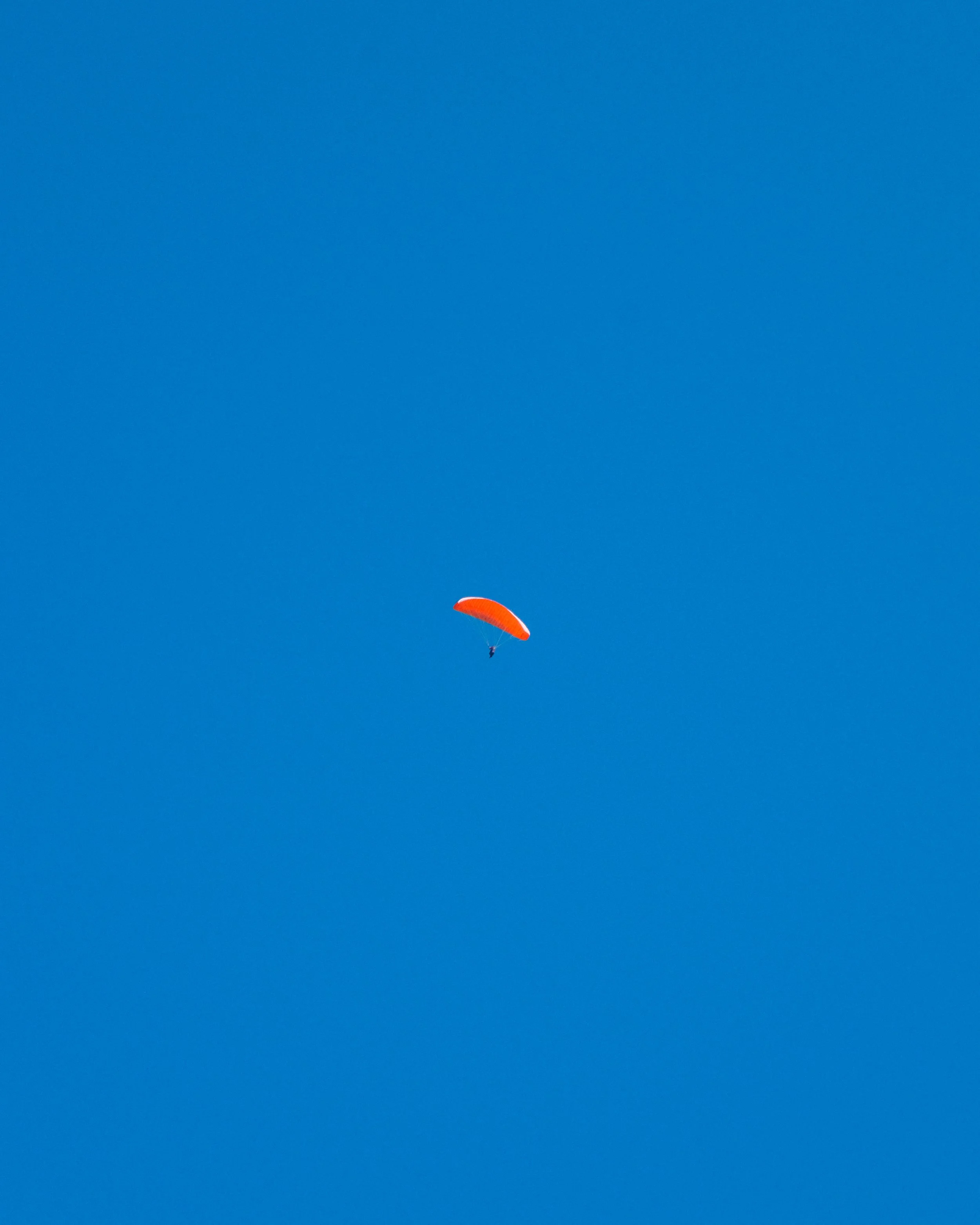 DSCF1614.jpg