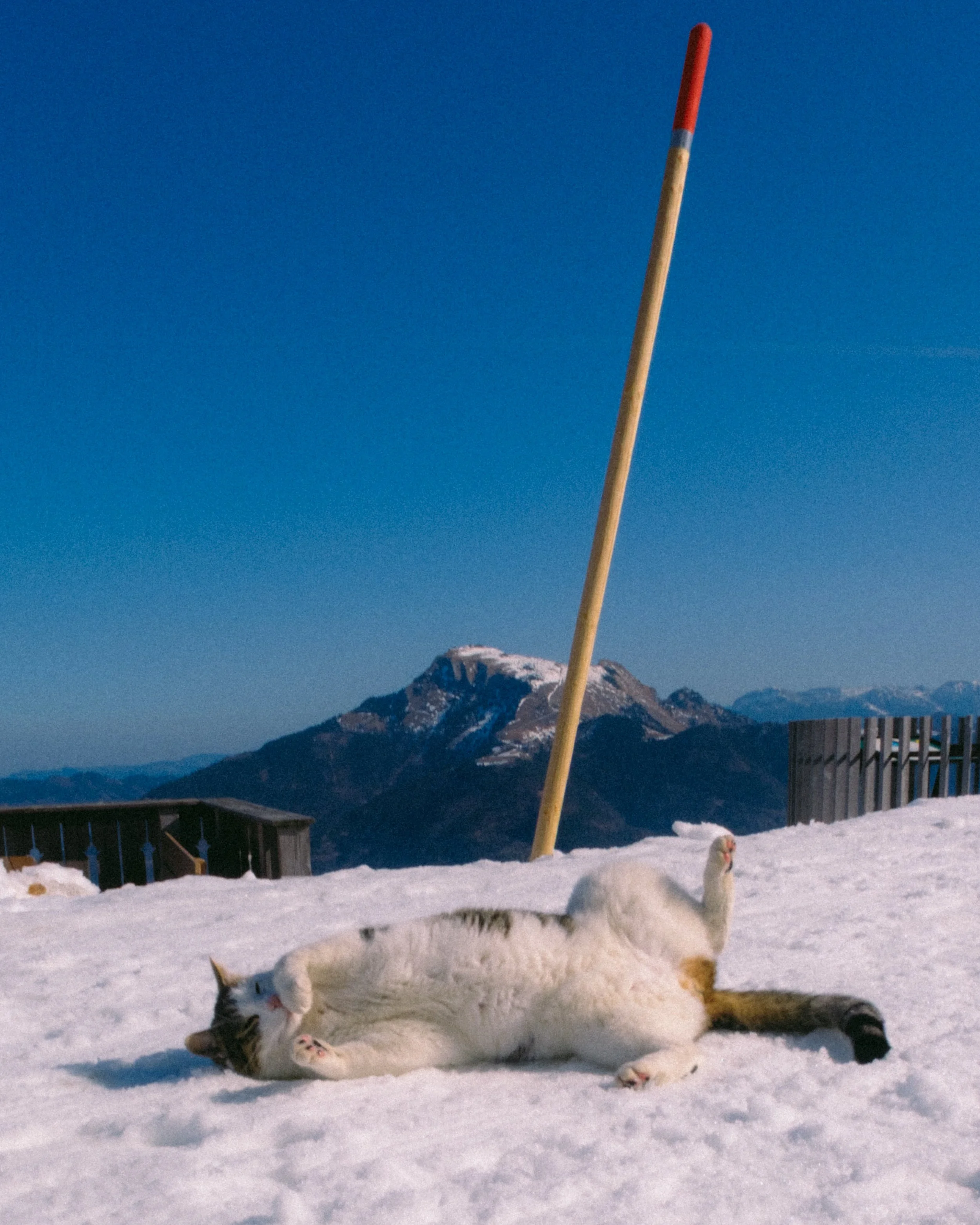 DSCF1658.jpg