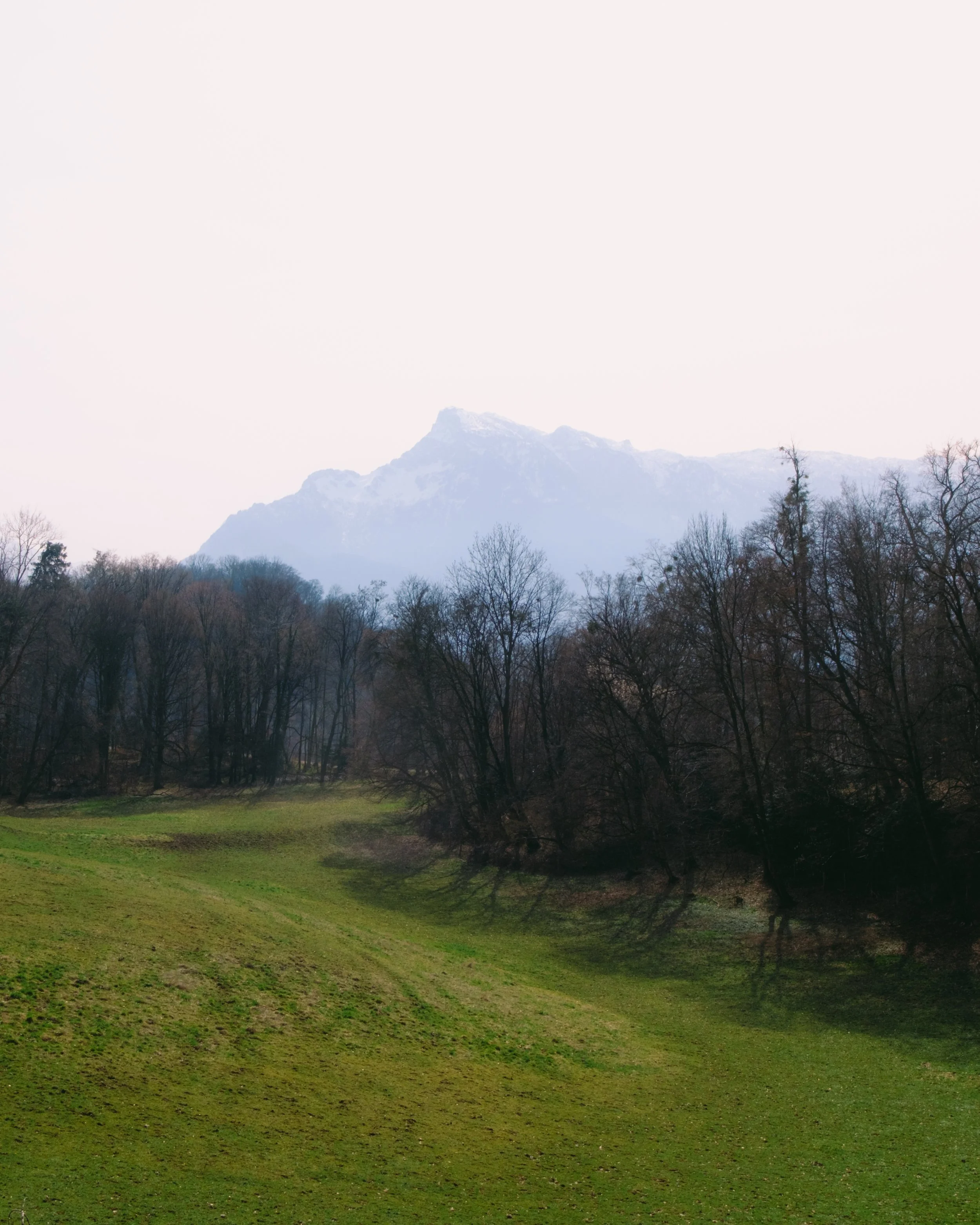 DSCF1909.jpg