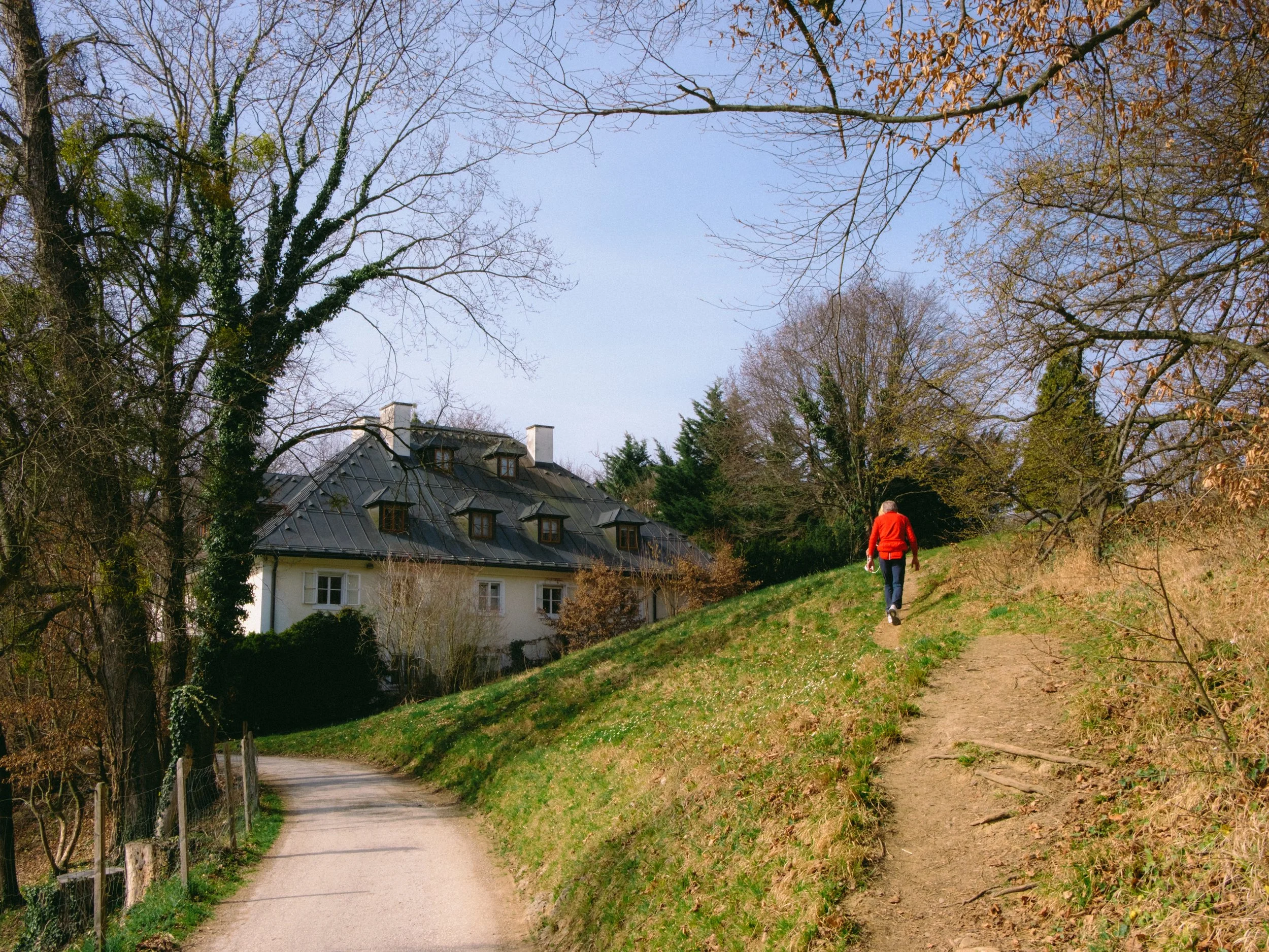 DSCF1907.jpg