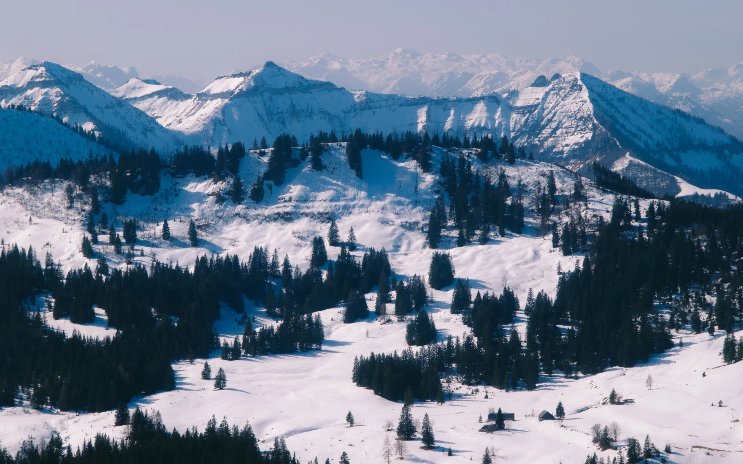 DSCF1681.jpg
