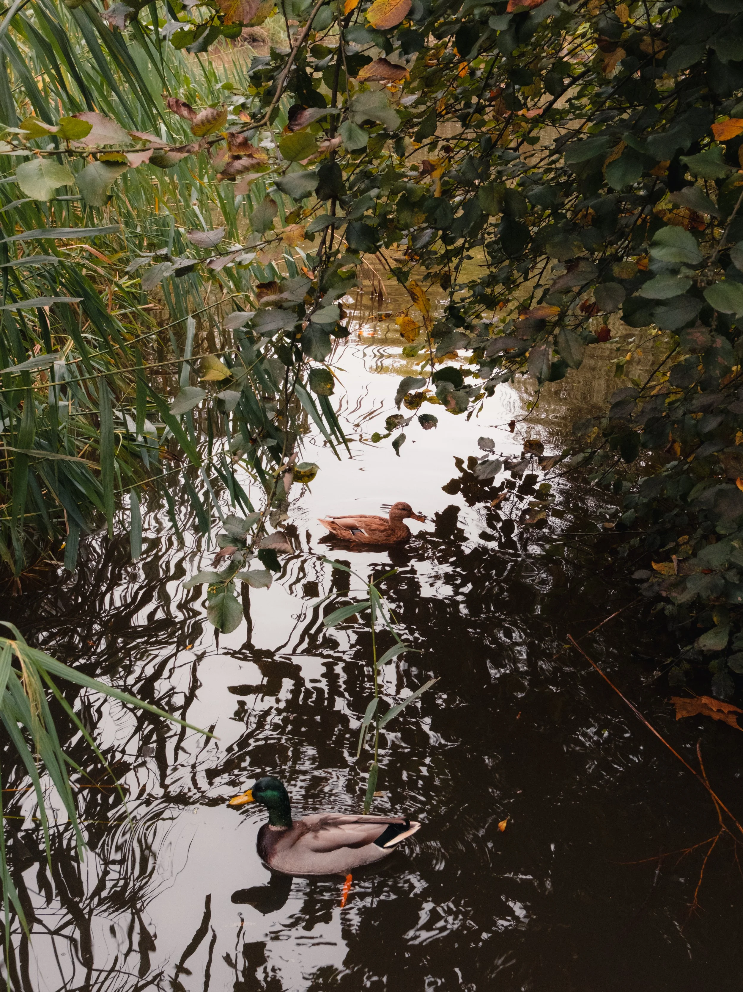 DSCF0831.jpg