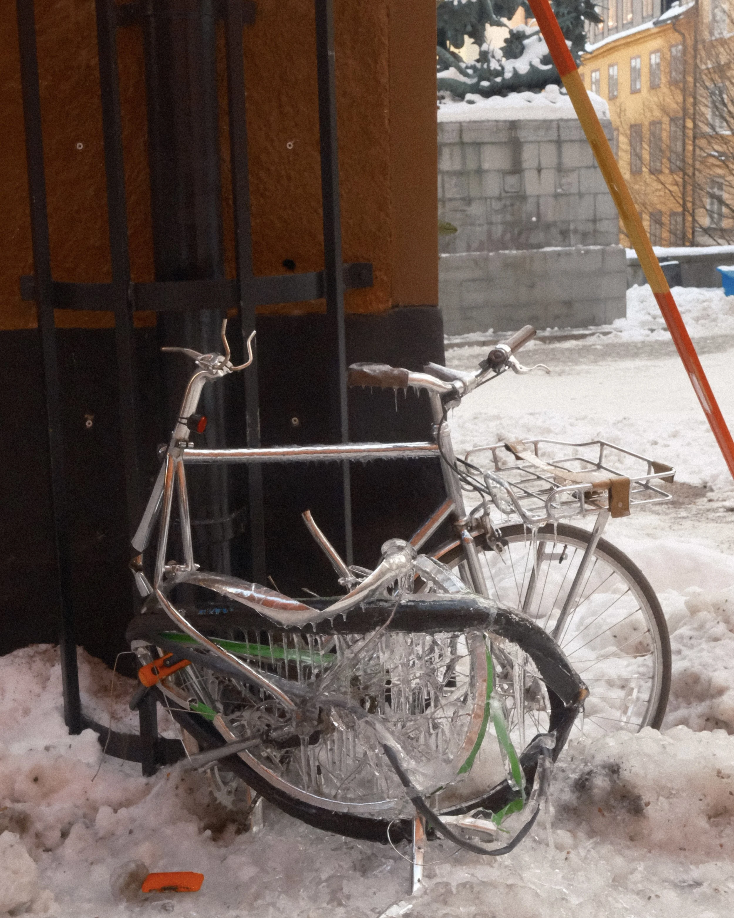 DSCF1061.JPG