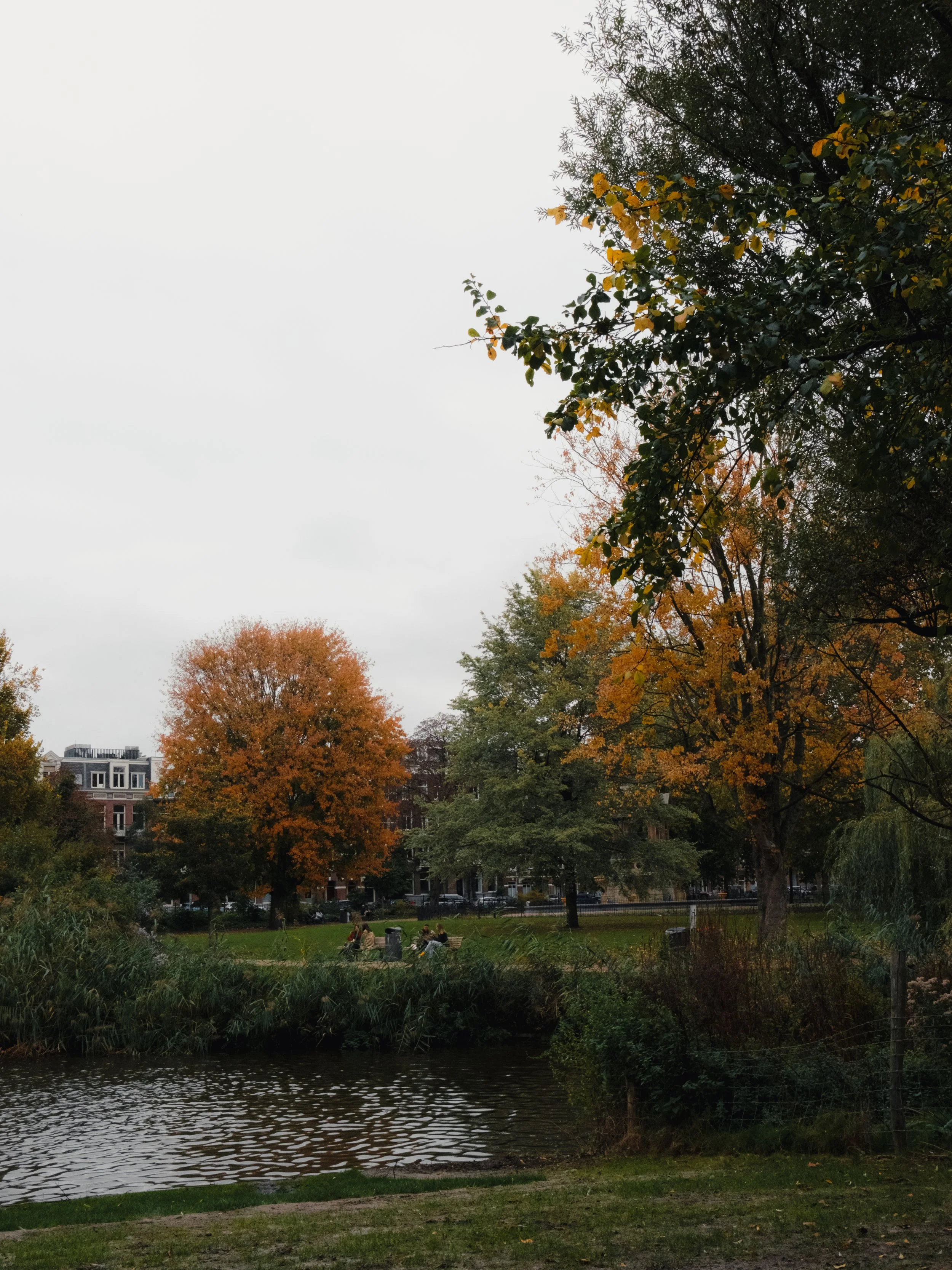 DSCF0823.jpg