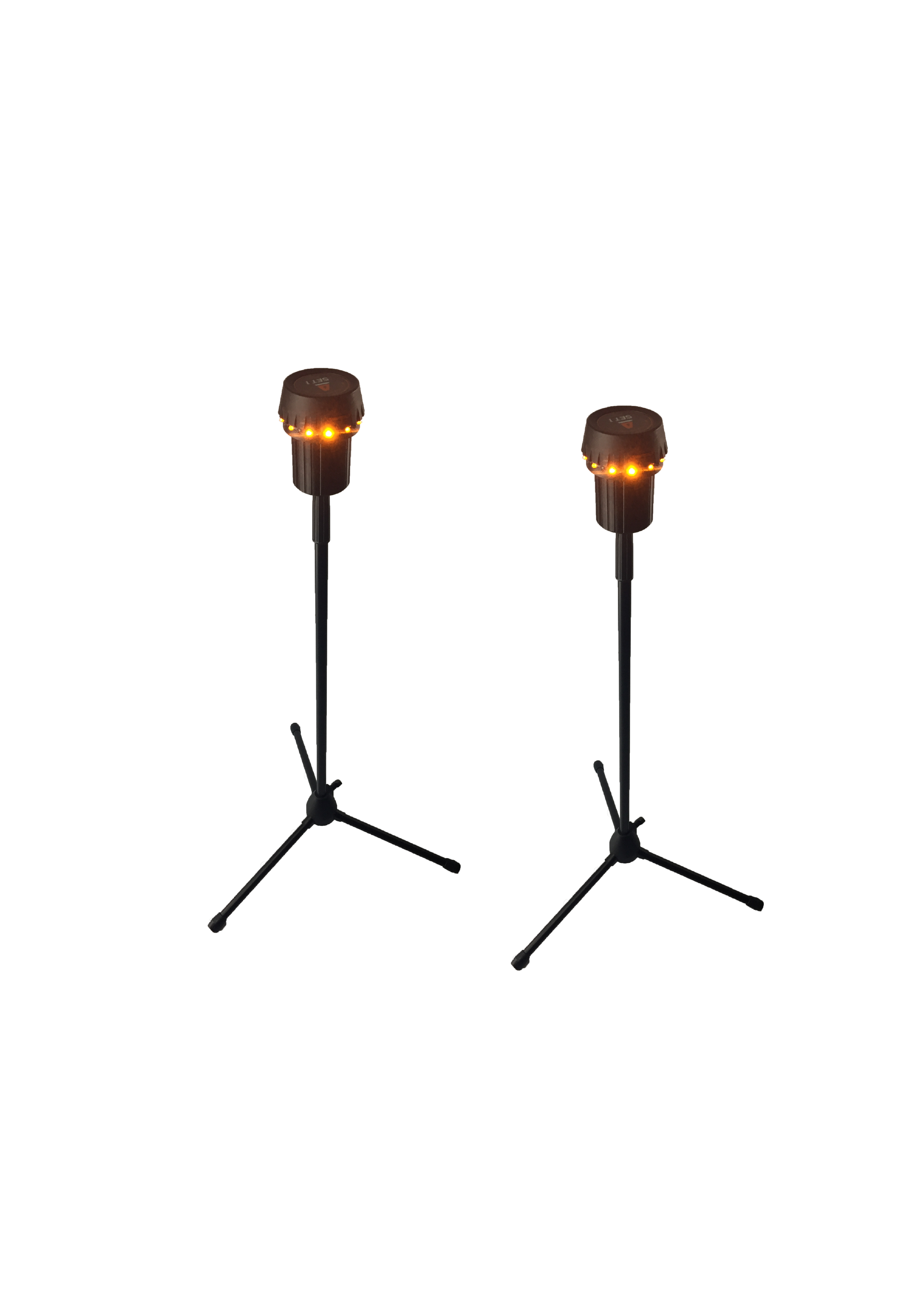 SmartGoals Timing Poles