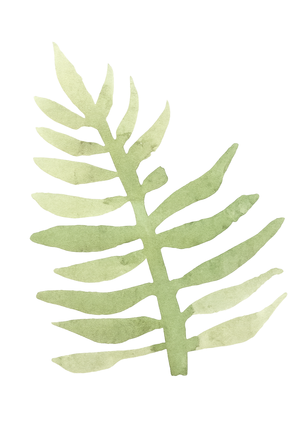 Little Fern