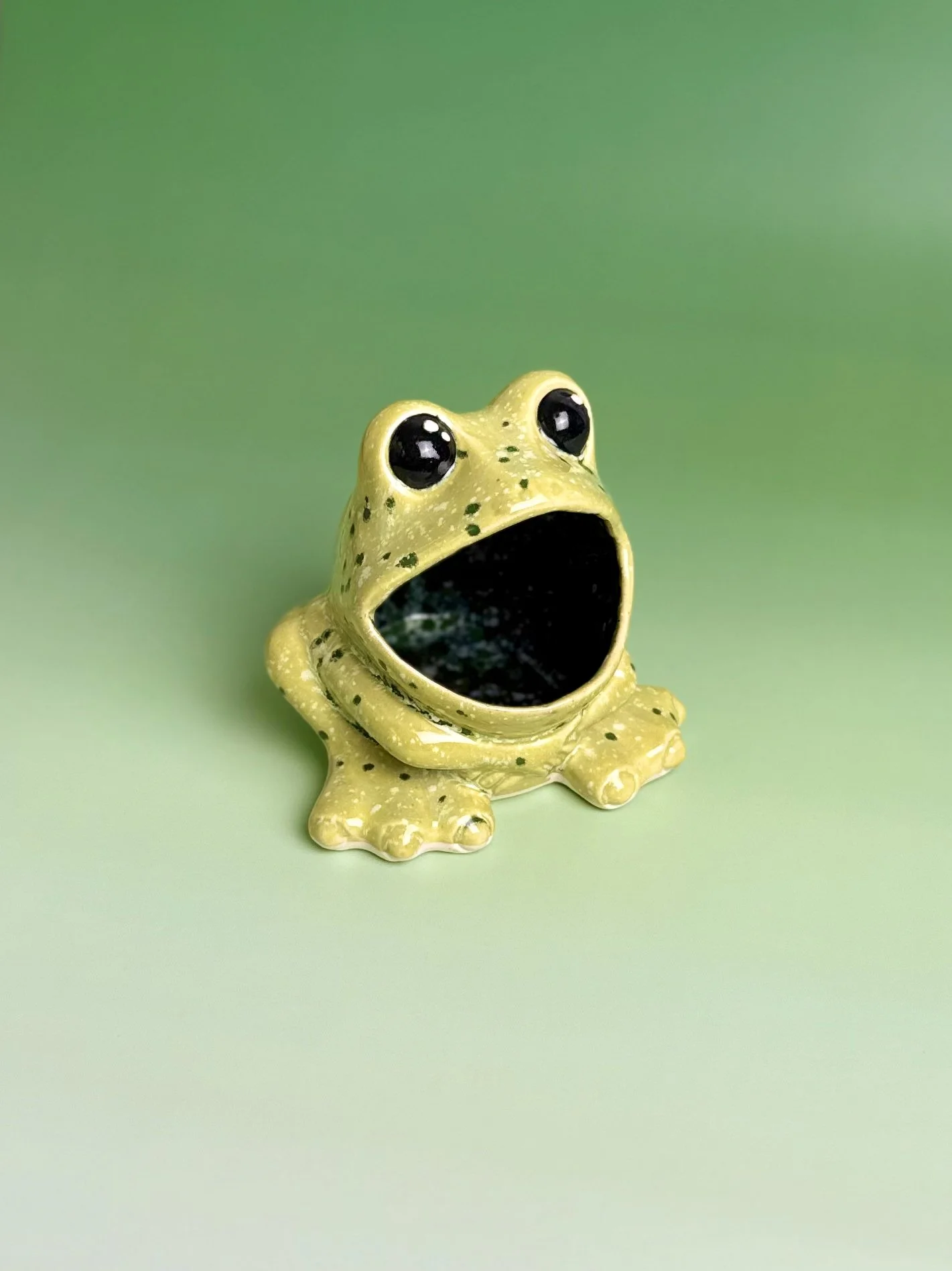 Frog Scrubbie Holder