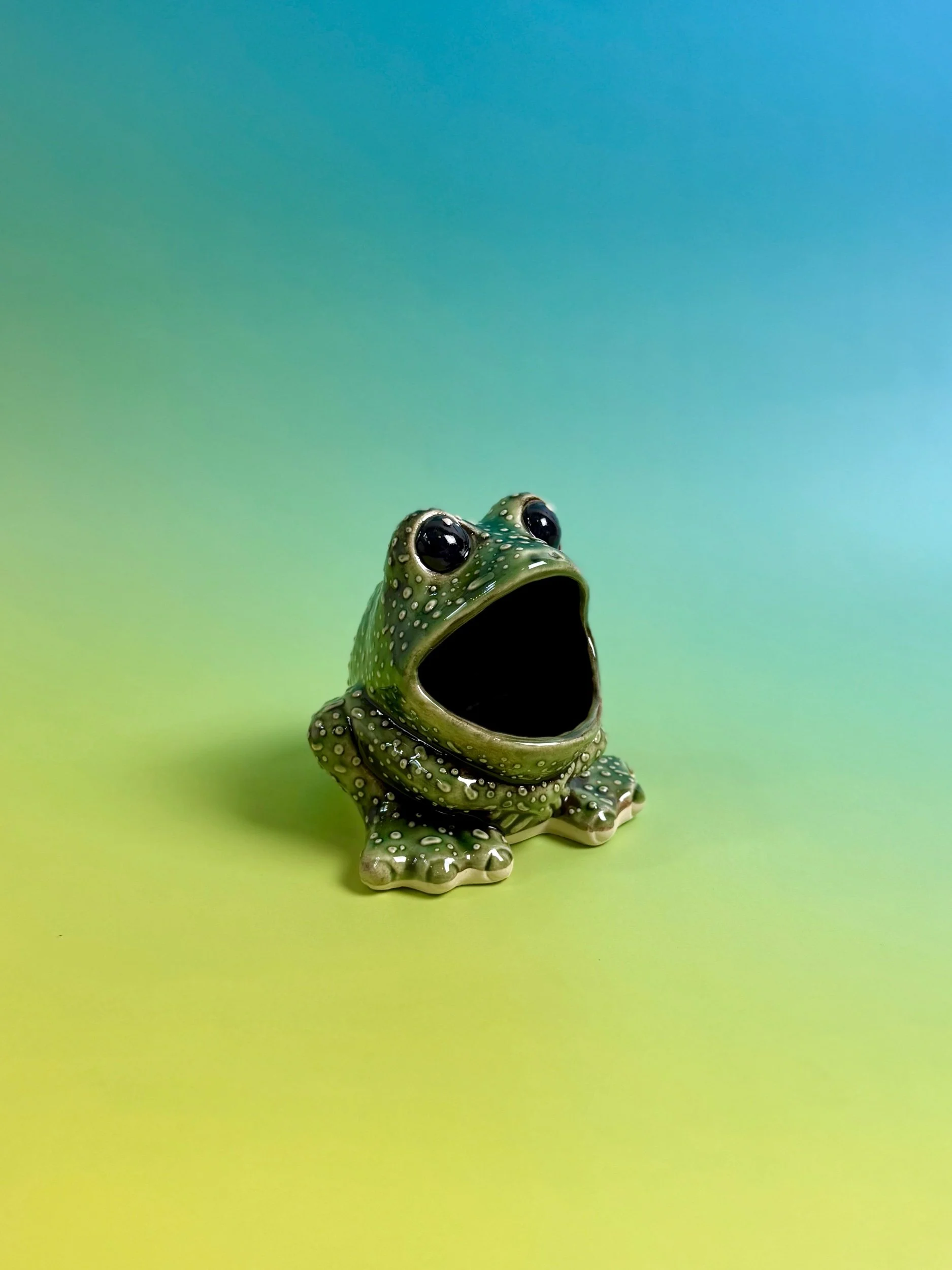 Toad Scrubbie Holder