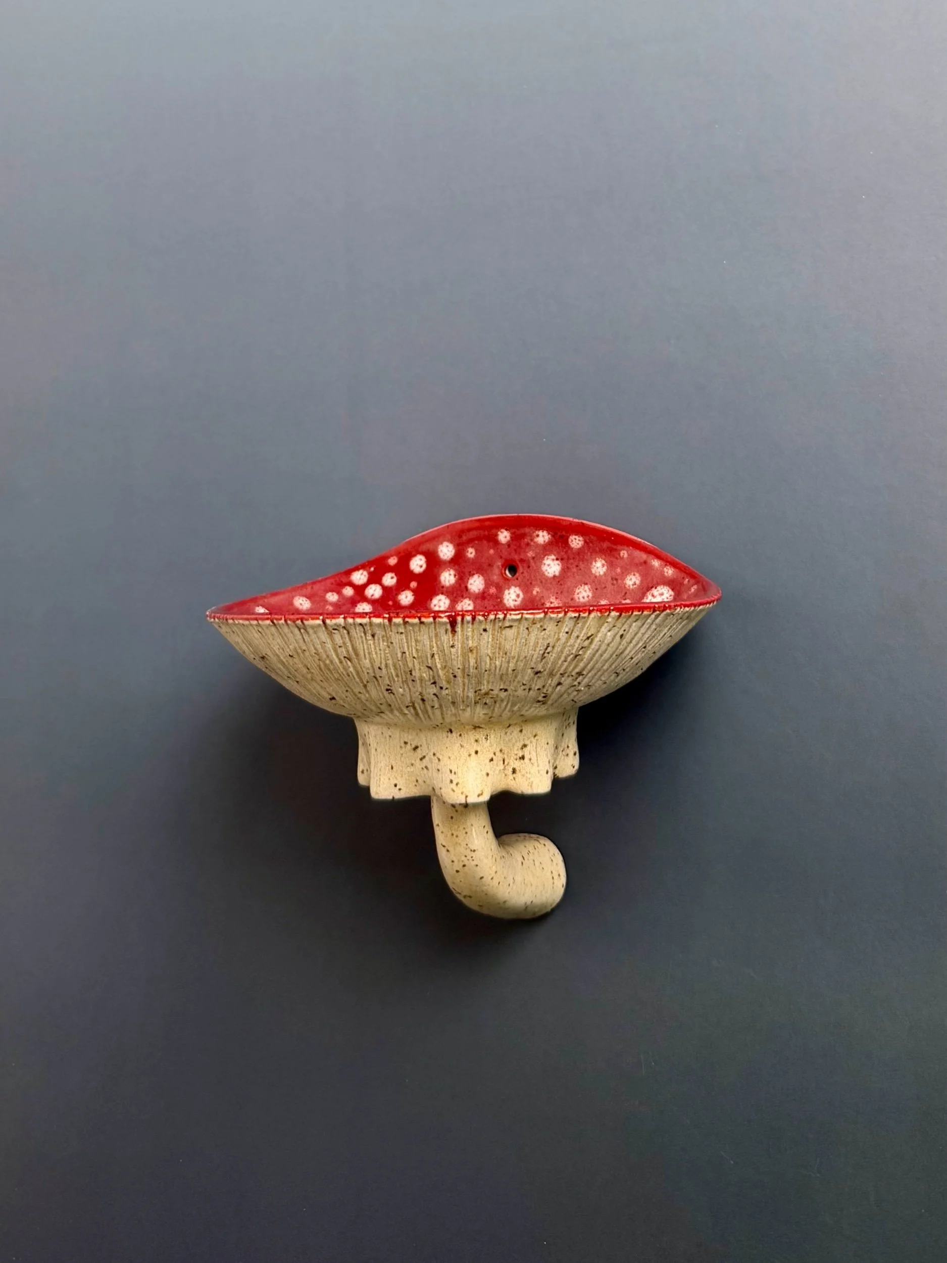 Mushroom Wall Shelf