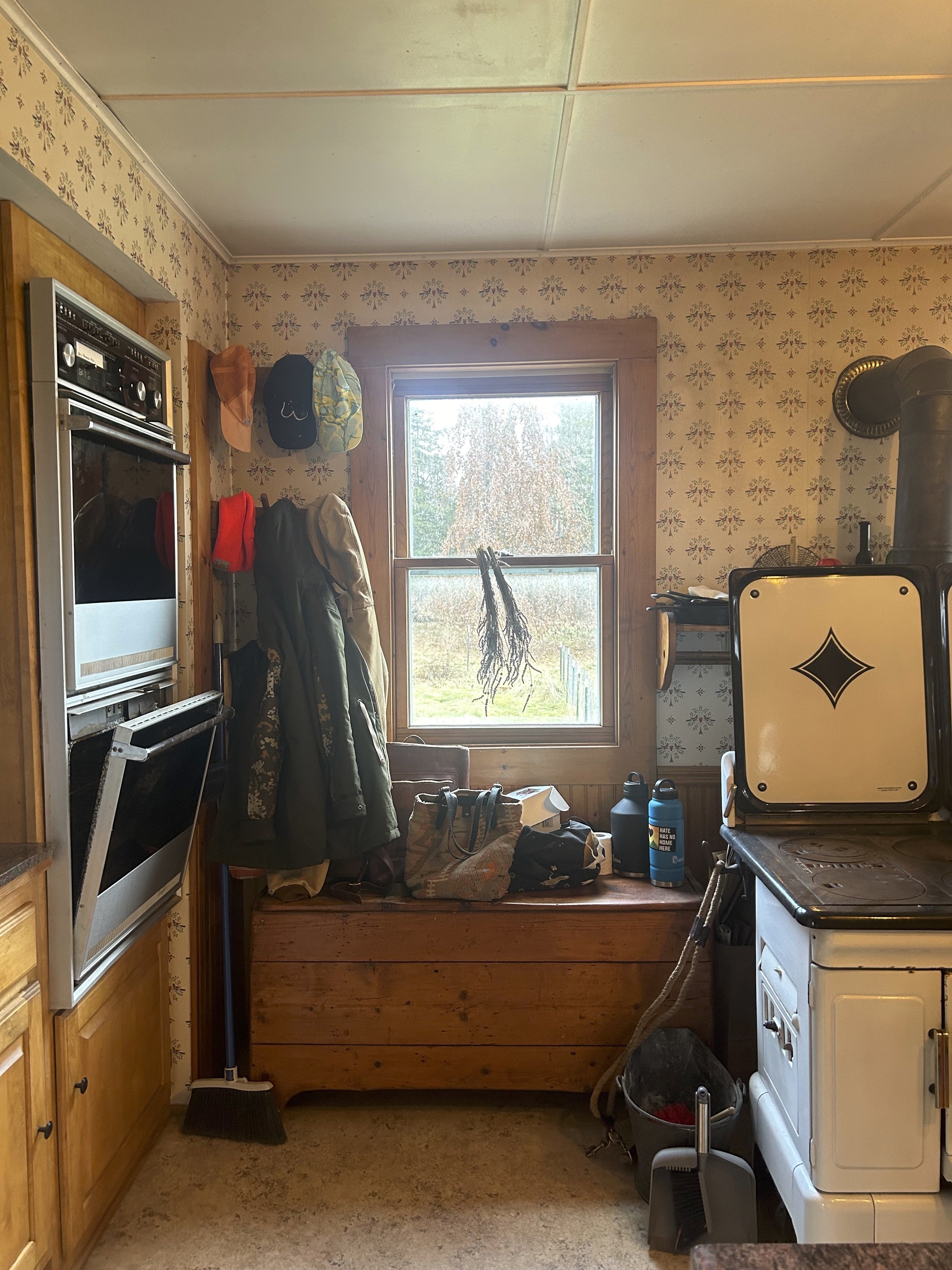4. Sink window before.jpg